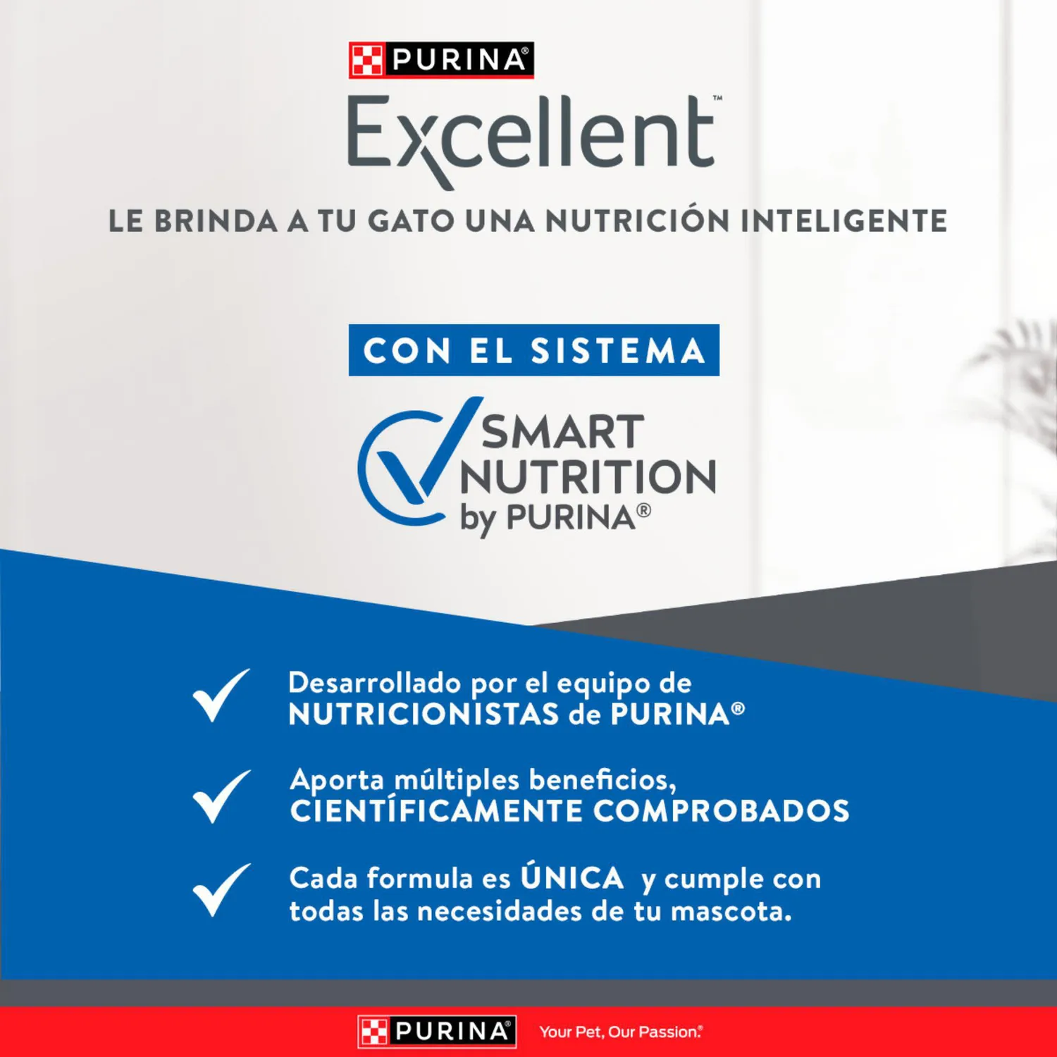 Comida Seca Para Gato Excellent Urinary 1kg 8