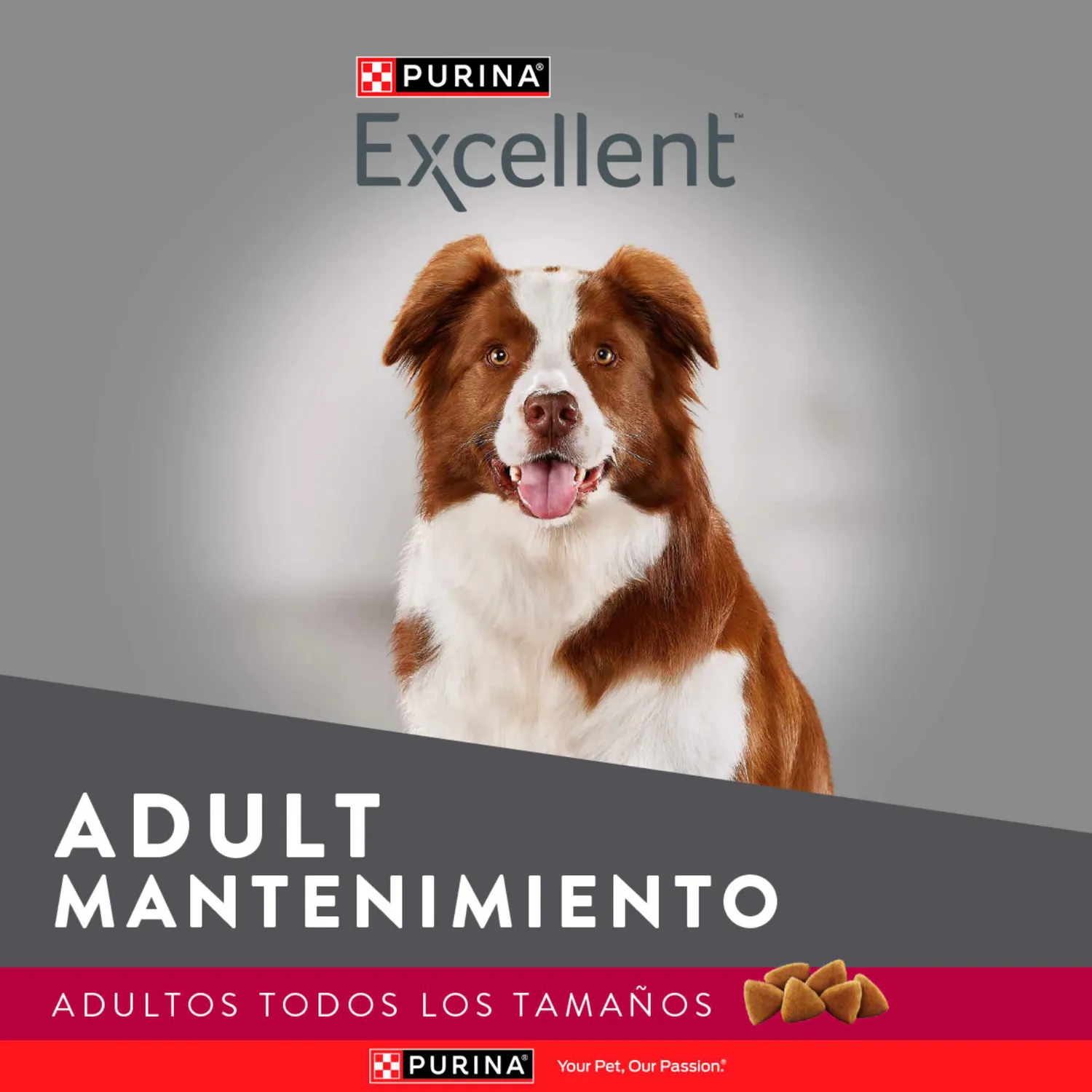 Comida Seca Para Perro Adulto Excellent Mantenimiento Sabor A Pollo/Carne 3kg 5
