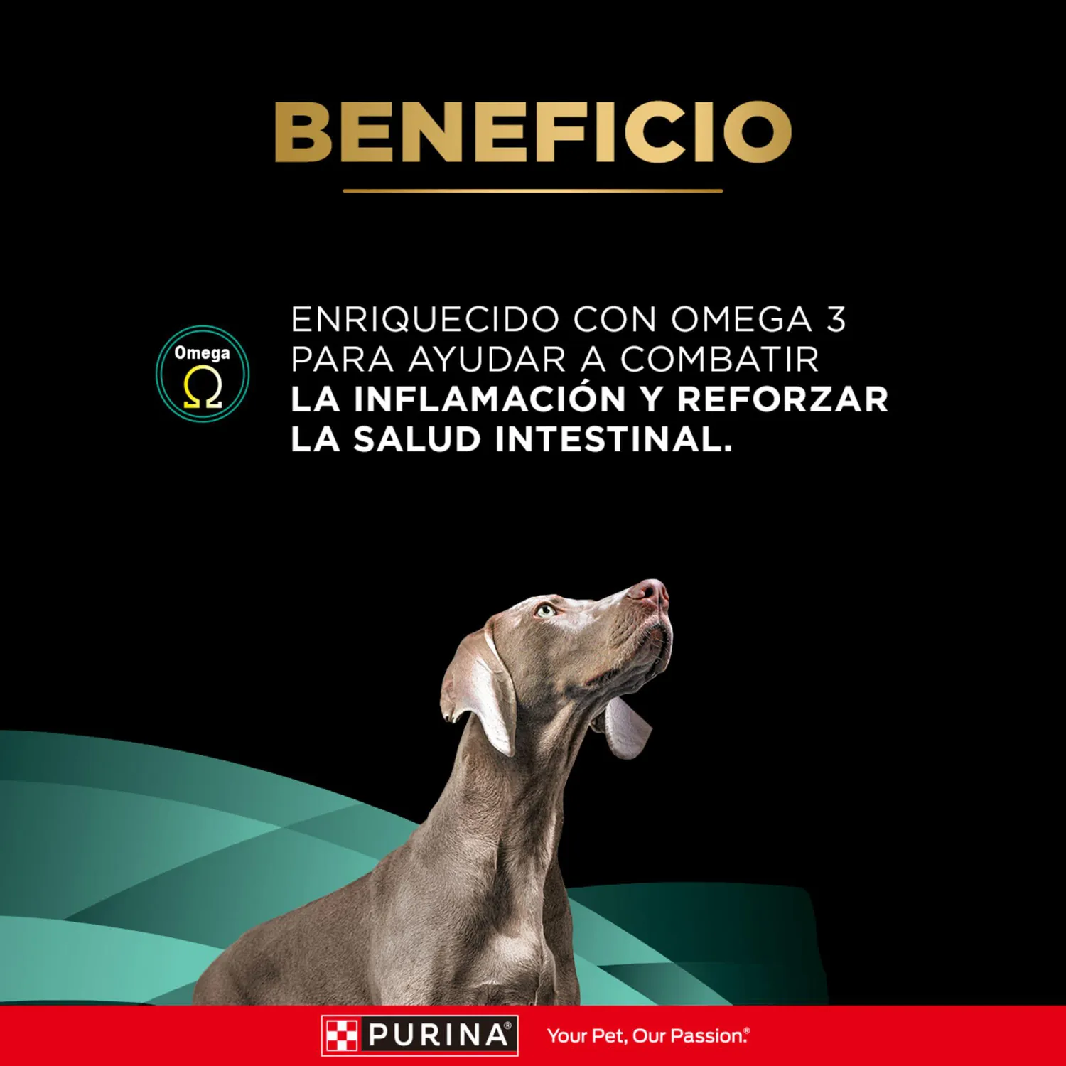 Comida Seca Para Perro Adulto Pro Plan Veterinary Diet Gastroenteric Canine 7.5kg 6