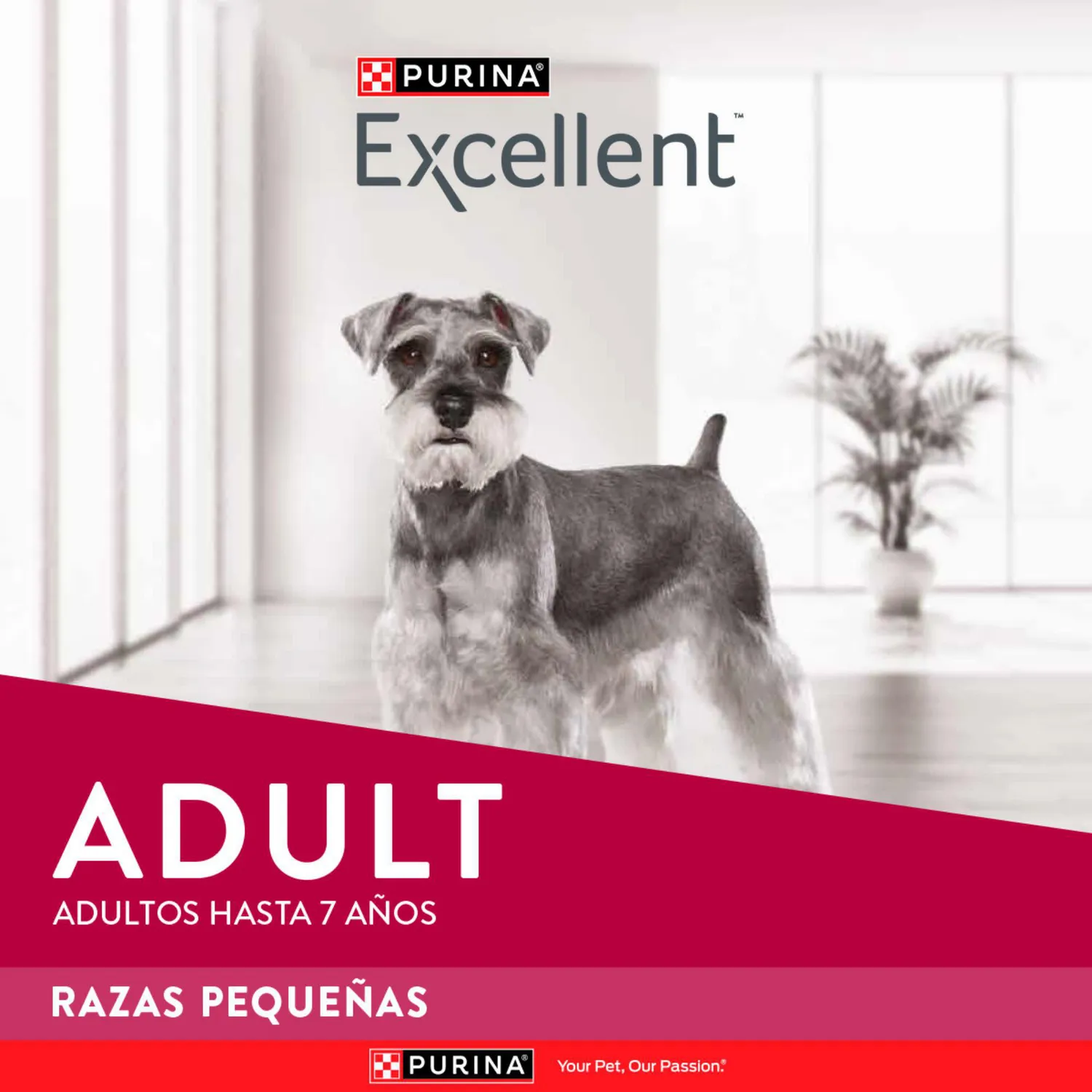 Comida Seca Para Perro Adulto Excellent Raza Pequeña Sabor A Pollo/Carne 3kg