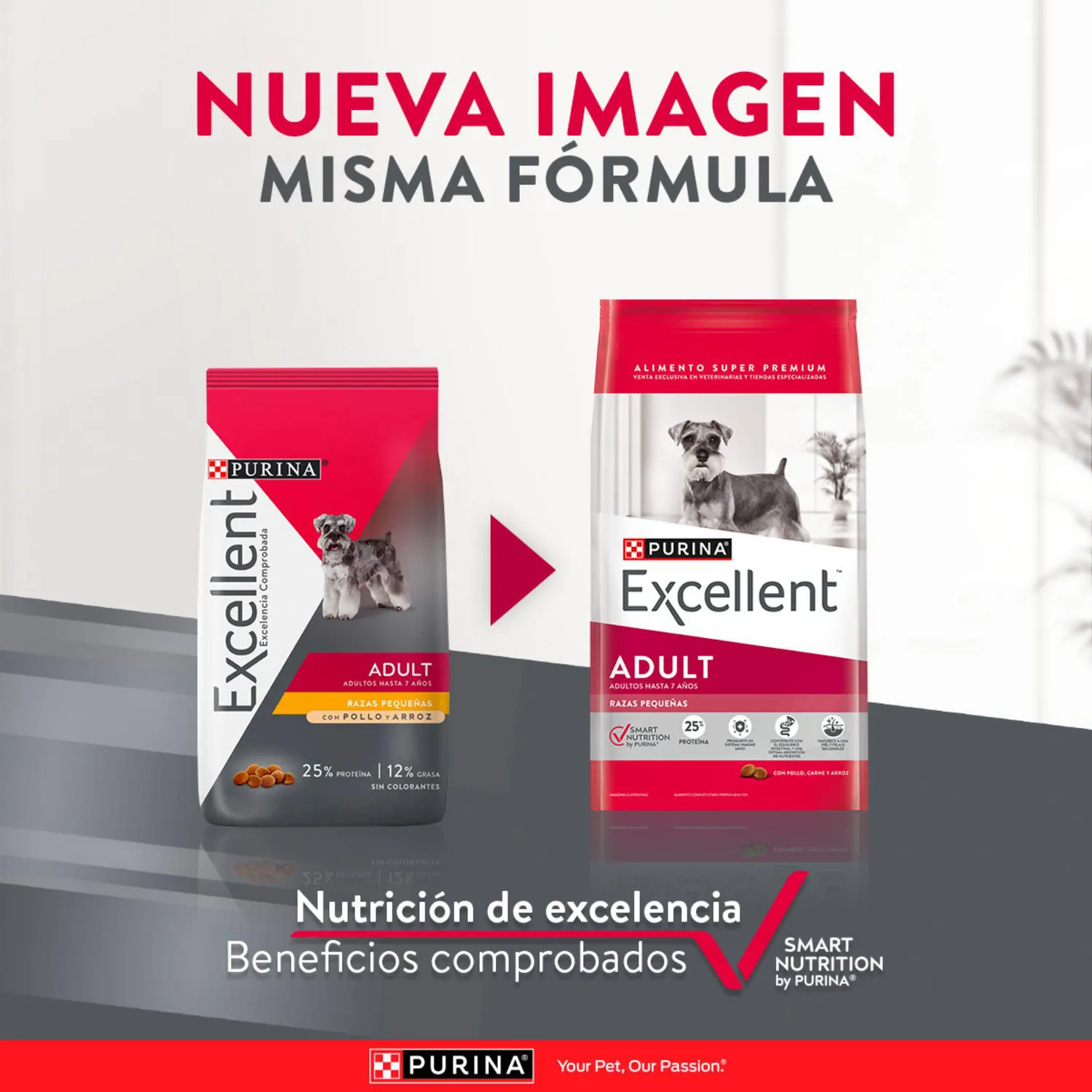 Comida Seca Para Perro Adulto Excellent Raza Pequeña Sabor A Pollo/Carne 3kg 3