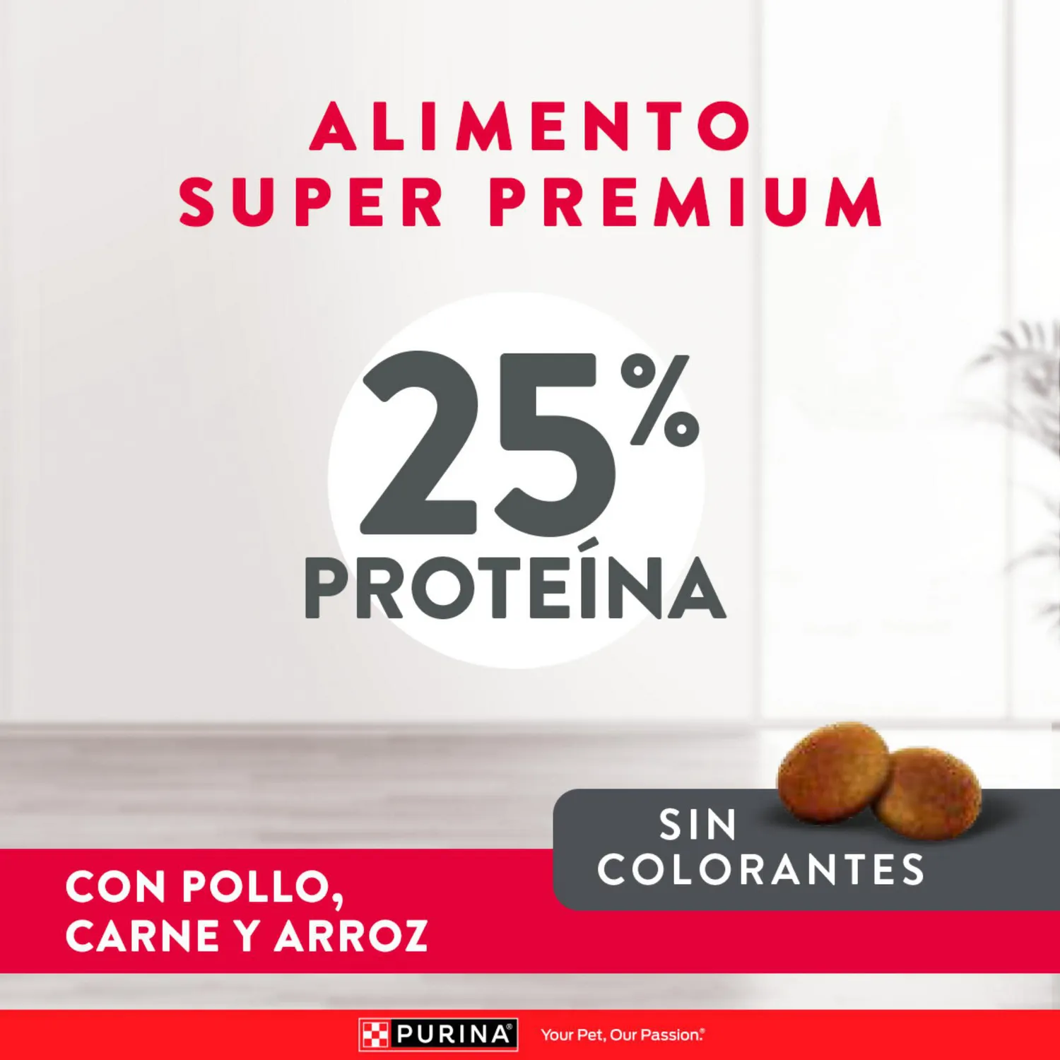 Comida Seca Para Perro Adulto Excellent Raza Pequeña Sabor A Pollo/Carne 3kg 4
