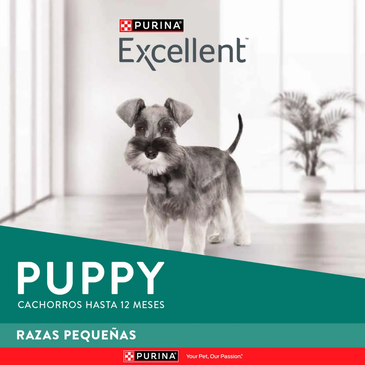 Comida Seca Para Perro Cachorro Excellent Raza Pequeña Sabor A Pollo/Carne 3kg