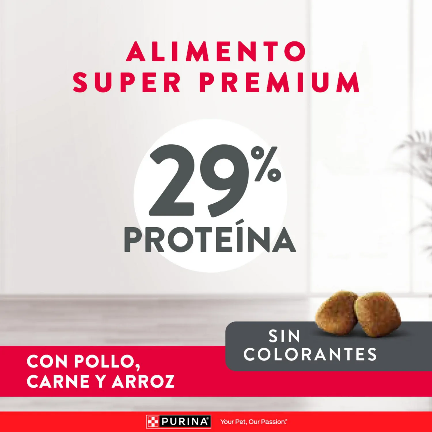 Comida Seca Para Perro Cachorro Excellent Raza Pequeña Sabor A Pollo/Carne 3kg 4