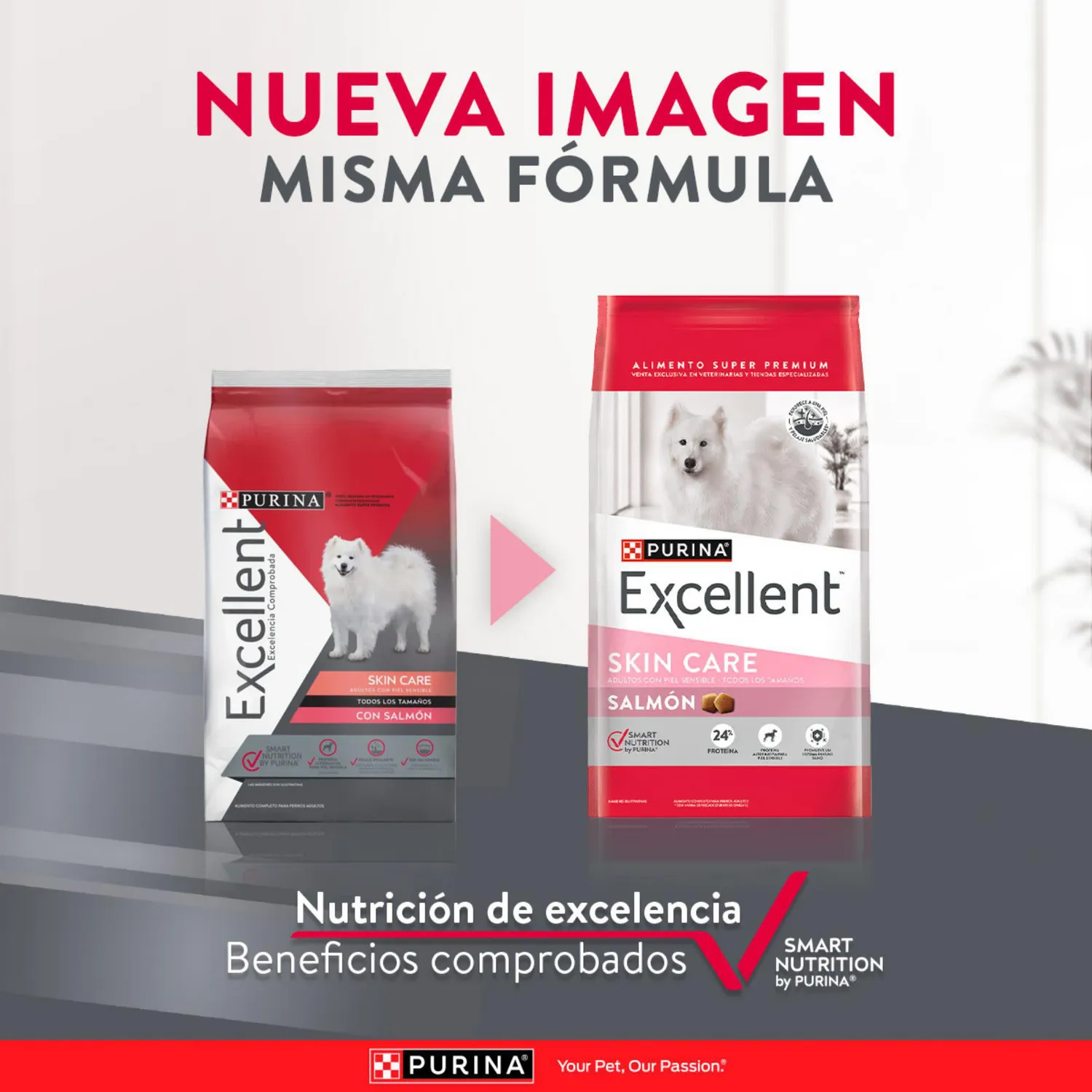 Comida Seca Para Perro Adulto Excellent Skin Care 8kg 5