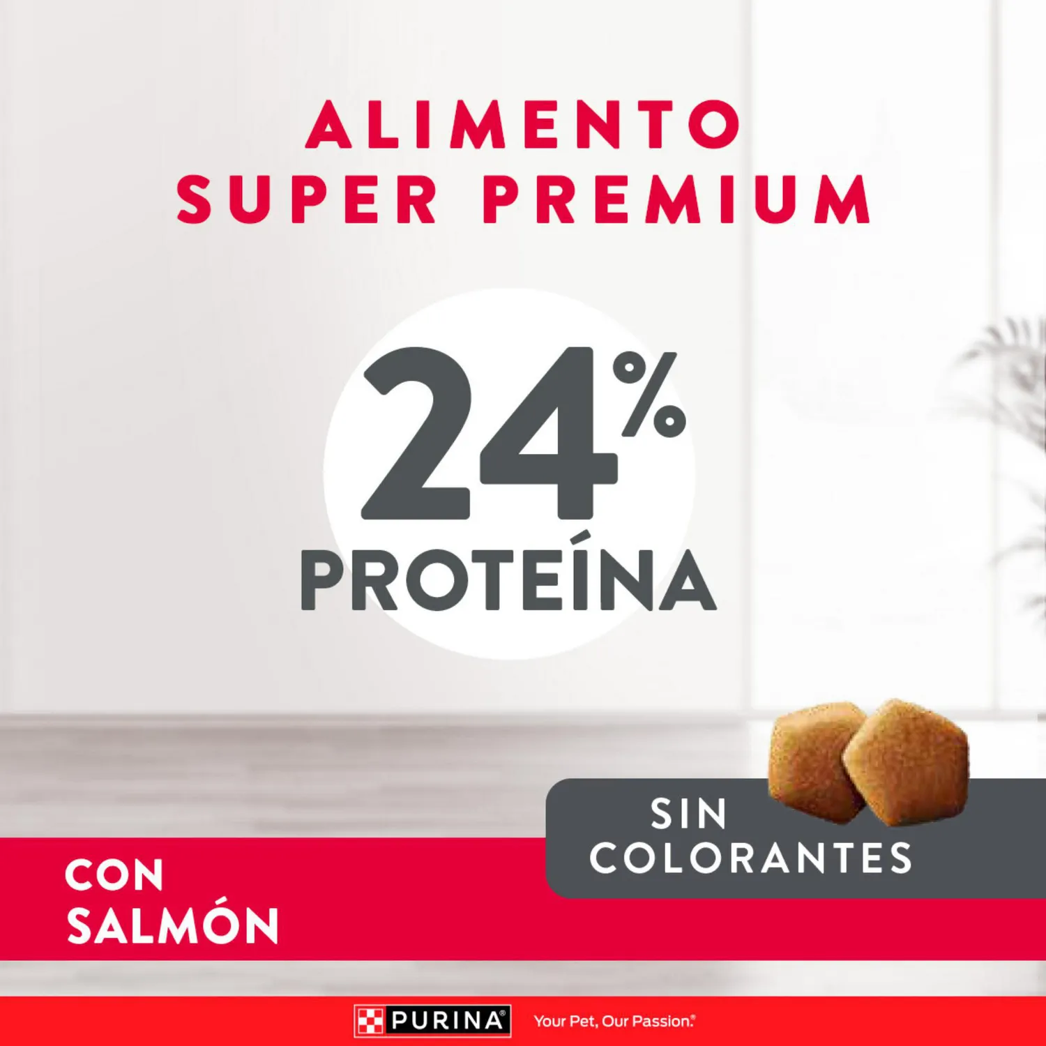 Comida Seca Para Perro Adulto Excellent Skin Care 8kg 6