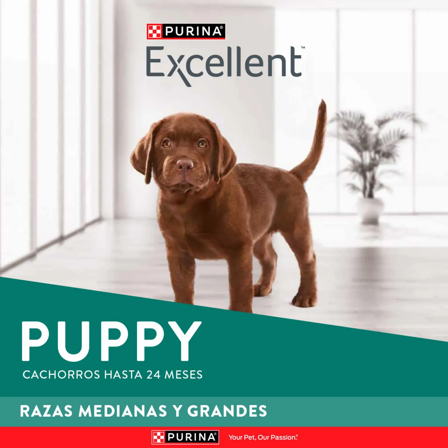 Comida Seca Para Perro Cachorro Excellent Raza Mediana Sabor A Pollo/Carne 17kg 4