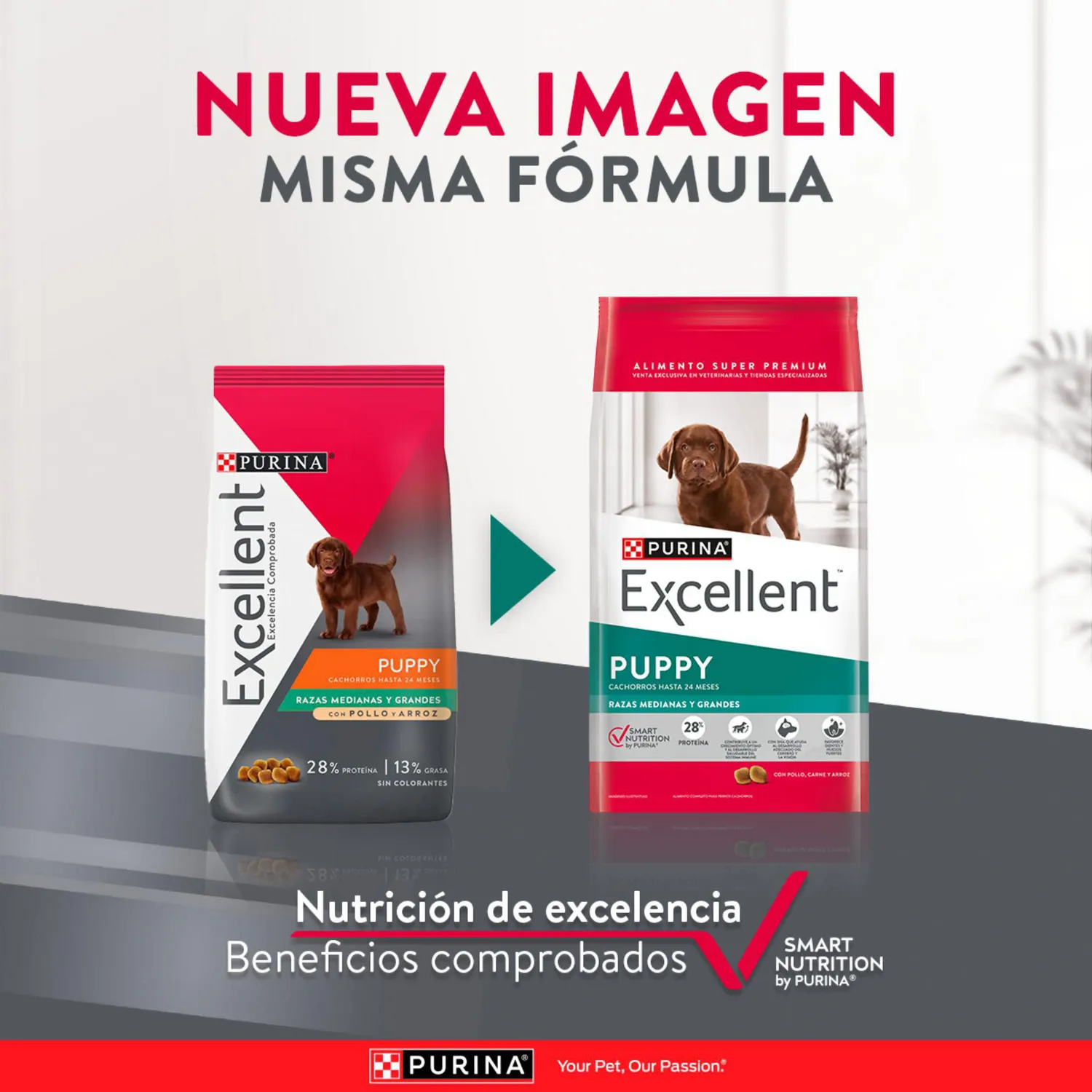 Comida Seca Para Perro Cachorro Excellent Raza Mediana Sabor A Pollo/Carne 17kg 5