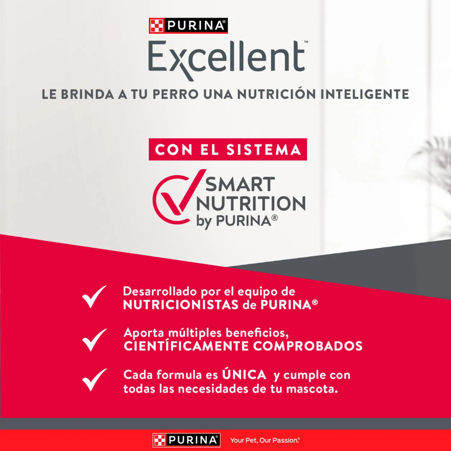 Comida Seca Para Perro Cachorro Excellent Raza Mediana Sabor A Pollo/Carne 17kg 7