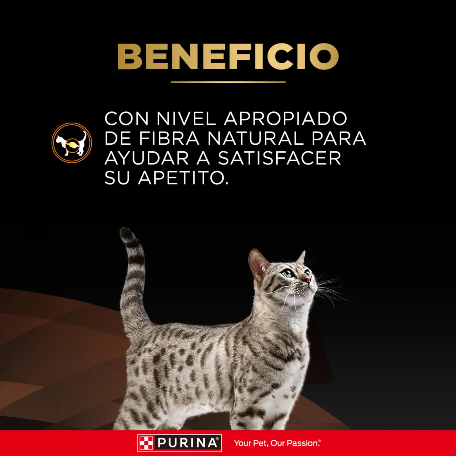 Comida Seca Para Gato Veterinaty Diet Overweight Management Feline 1.5kg 6