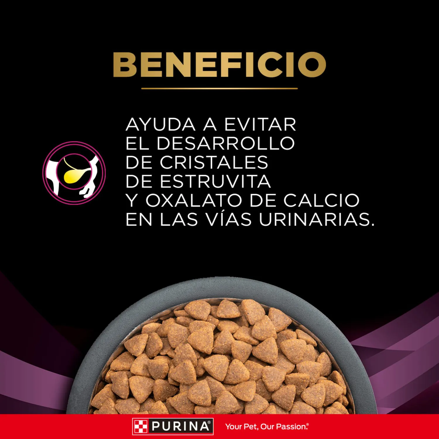 Comida Seca Para Gato Veterinaty Diet Urinary Feline 1.5kg 7