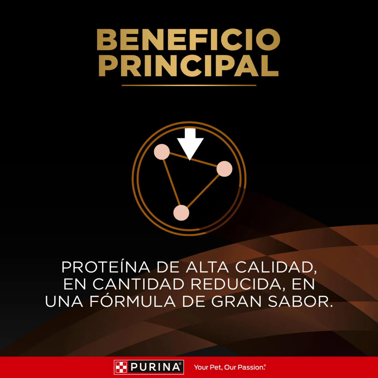 Comida Seca Para Gato Veterinaty Diet Kidney Function Advanced Care 1.5kg 4