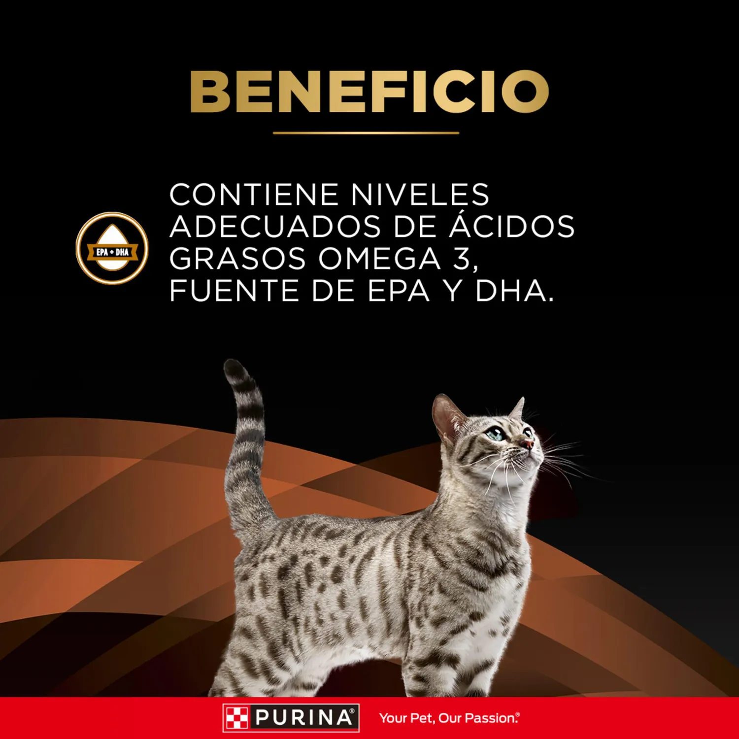 Comida Seca Para Gato Veterinaty Diet Kidney Function Advanced Care 1.5kg 5