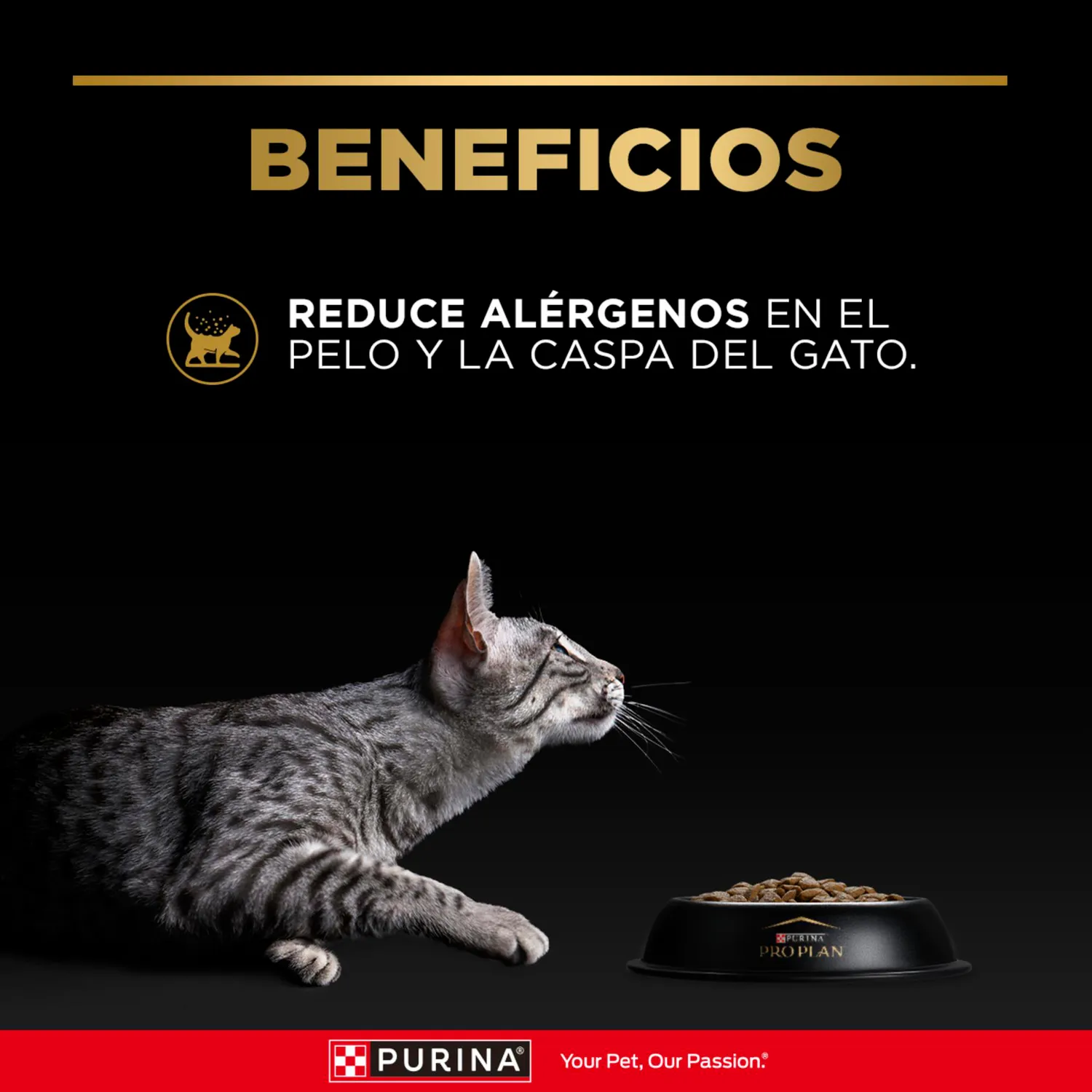 Comida Seca Para Gato Pro Plan Reductor Alérgenos 1kg 4