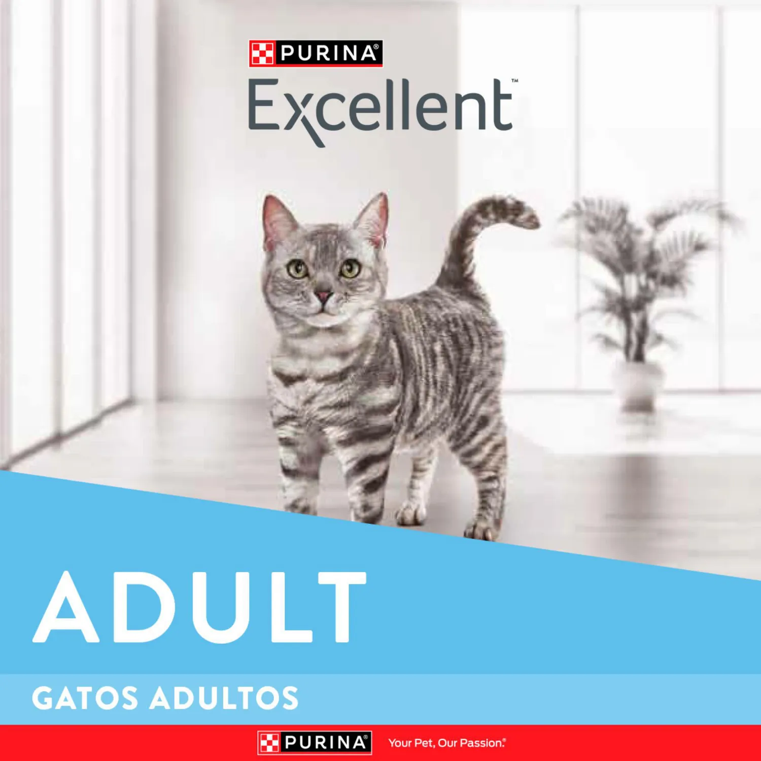 Comida Seca Para Gato Adulto Excellent Sabor A Pollo 1kg 5