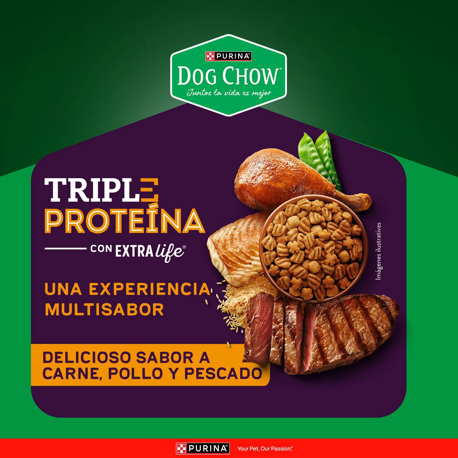 Comida Seca Para Perro Dog Chow Triple Proteina 2kg 5