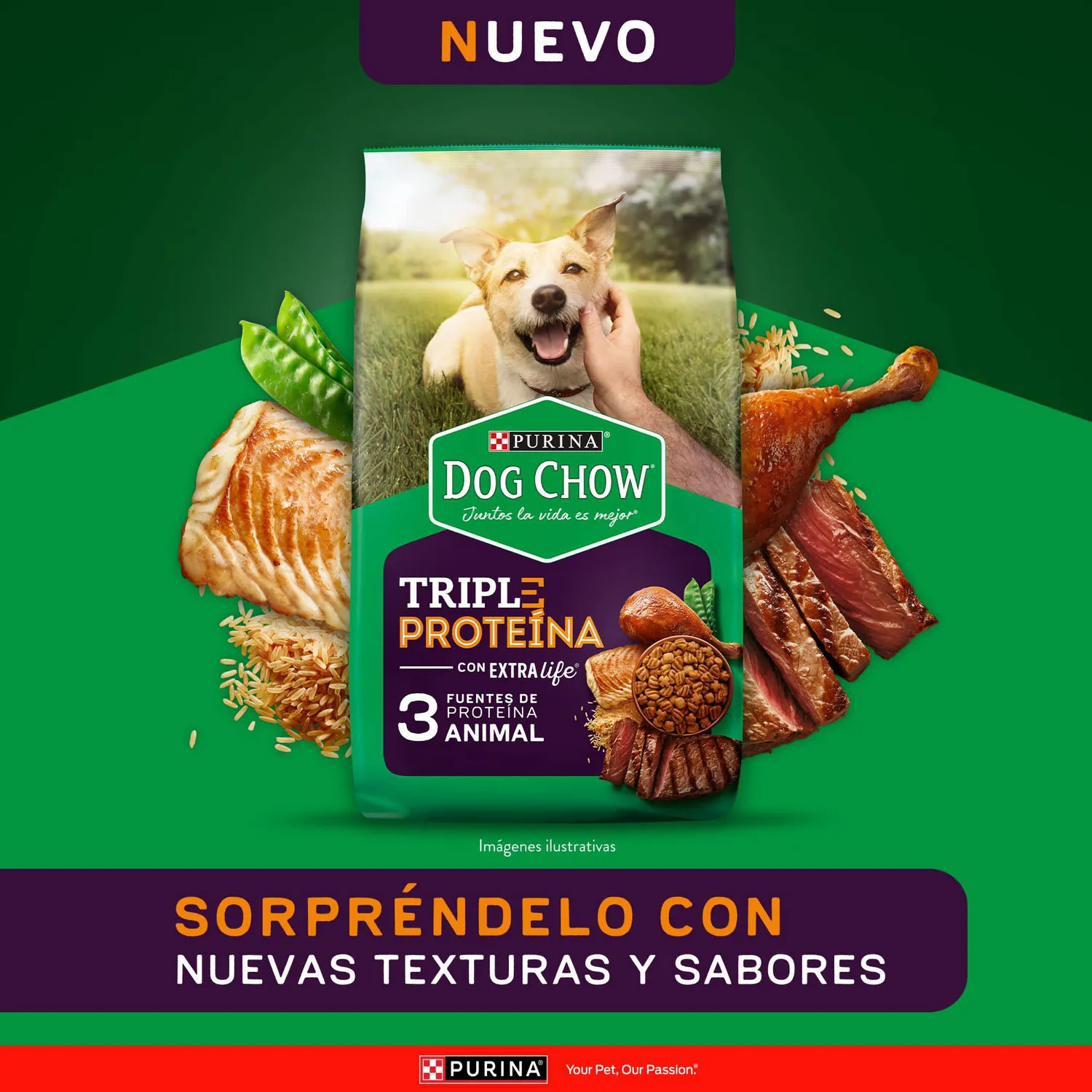 Comida Seca Para Perro Dog Chow Triple Proteina 2kg 6