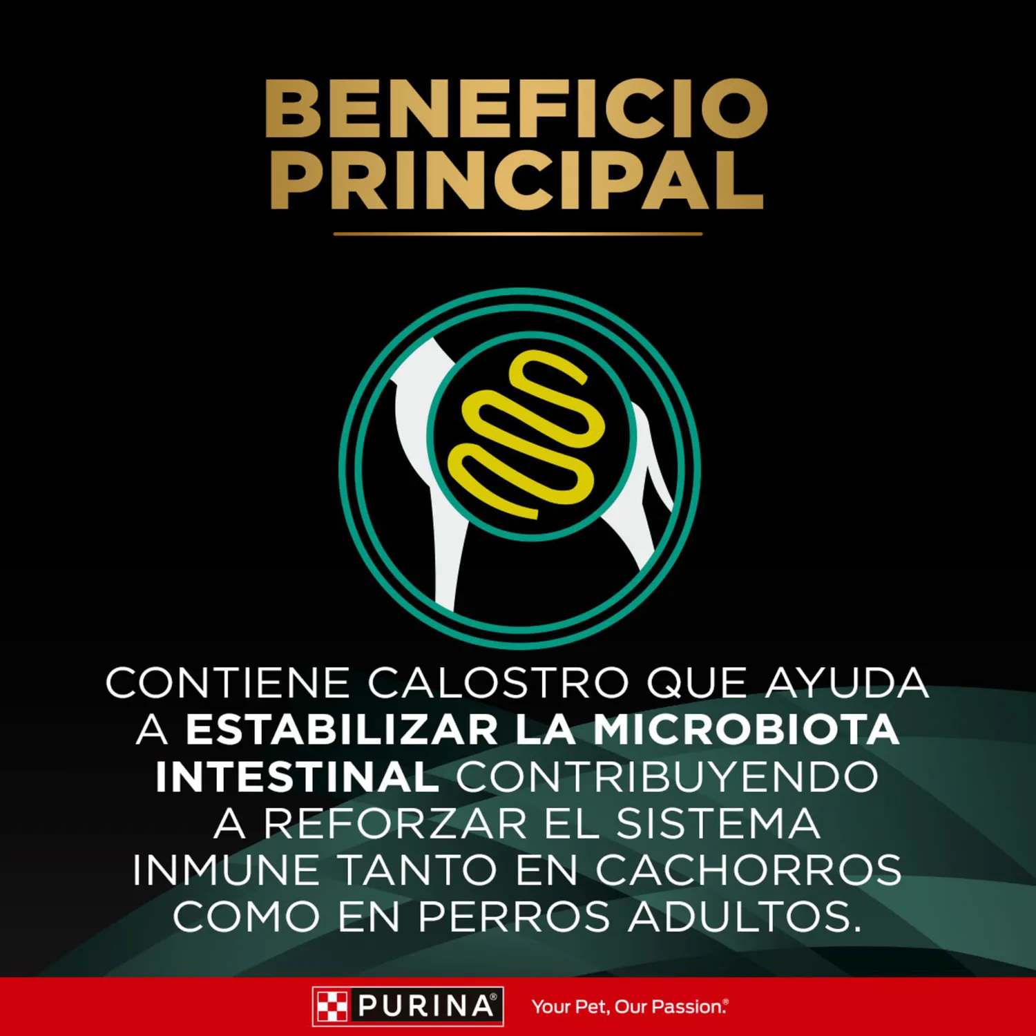 Comida Seca Para Perro Adulto Pro Plan Veterinary Diet Gastroenteric Canine 2kg 4