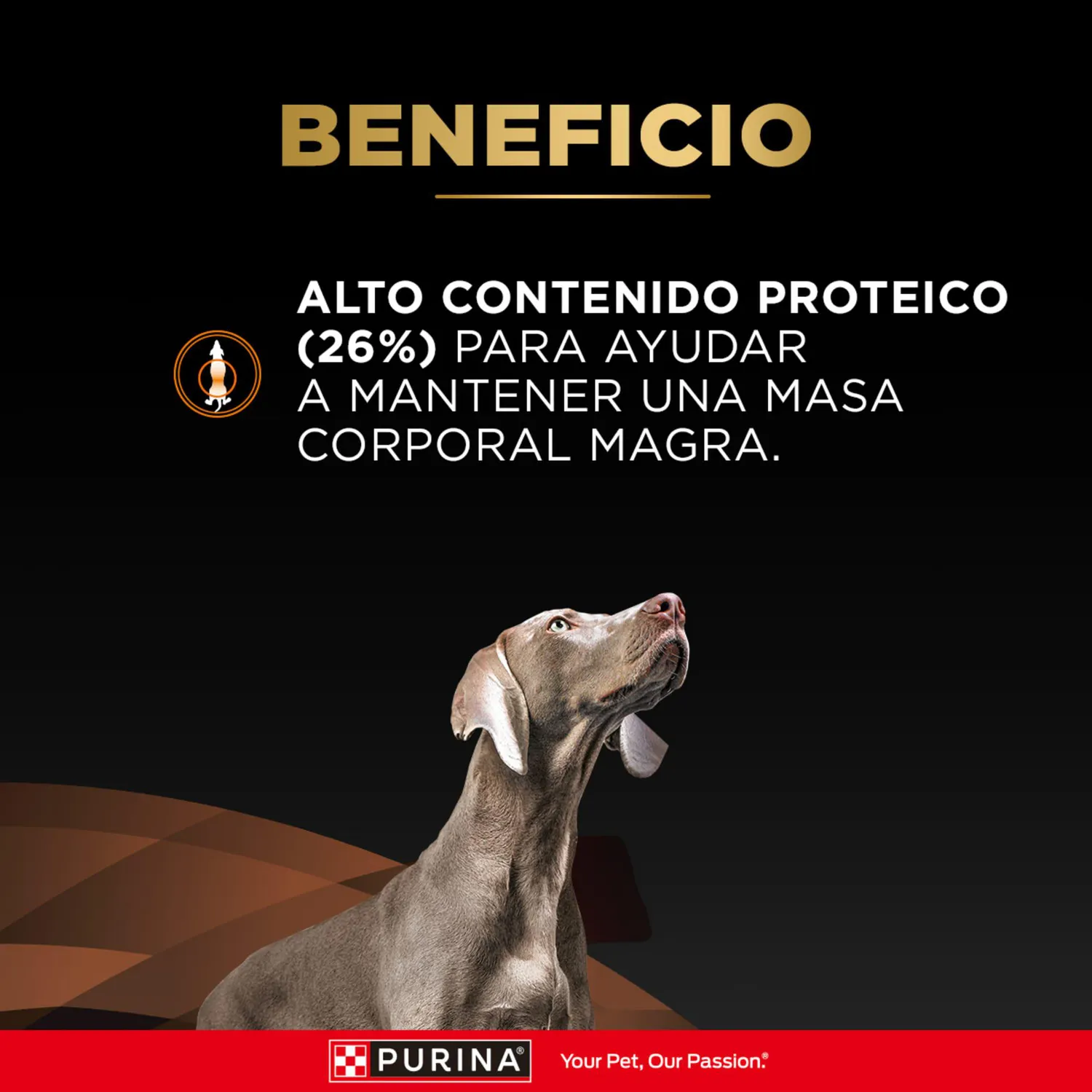 Comida Seca Para Perro Adulto Pro Plan Veterinary Diet Obesity Canine 2kg 5
