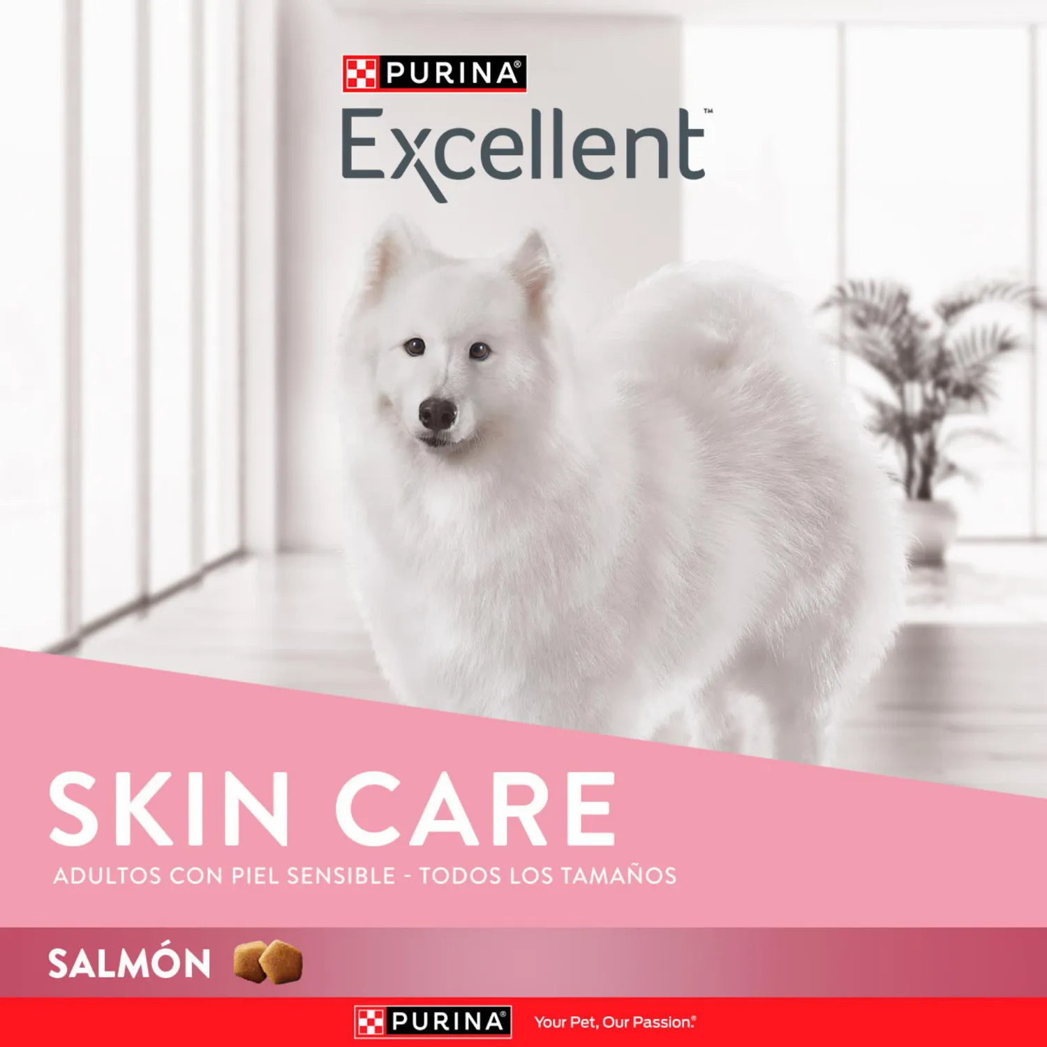 Comida Seca Para Perro Adulto Excellent Skin Care 3kg 5