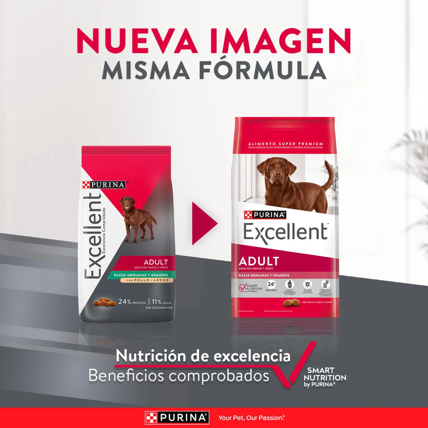 Comida Seca Para Perro Adulto Excellent Raza Mediana Sabor A Pollo/Carne 17kg 5