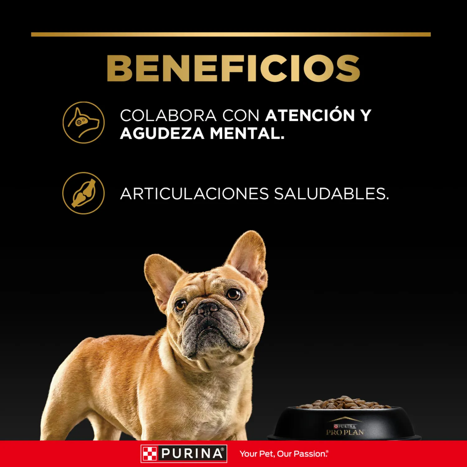 Comida Seca Para Perro Adulto +7 Años Pro Plan Raza Pequeña Sabor A Pollo 1kg 4