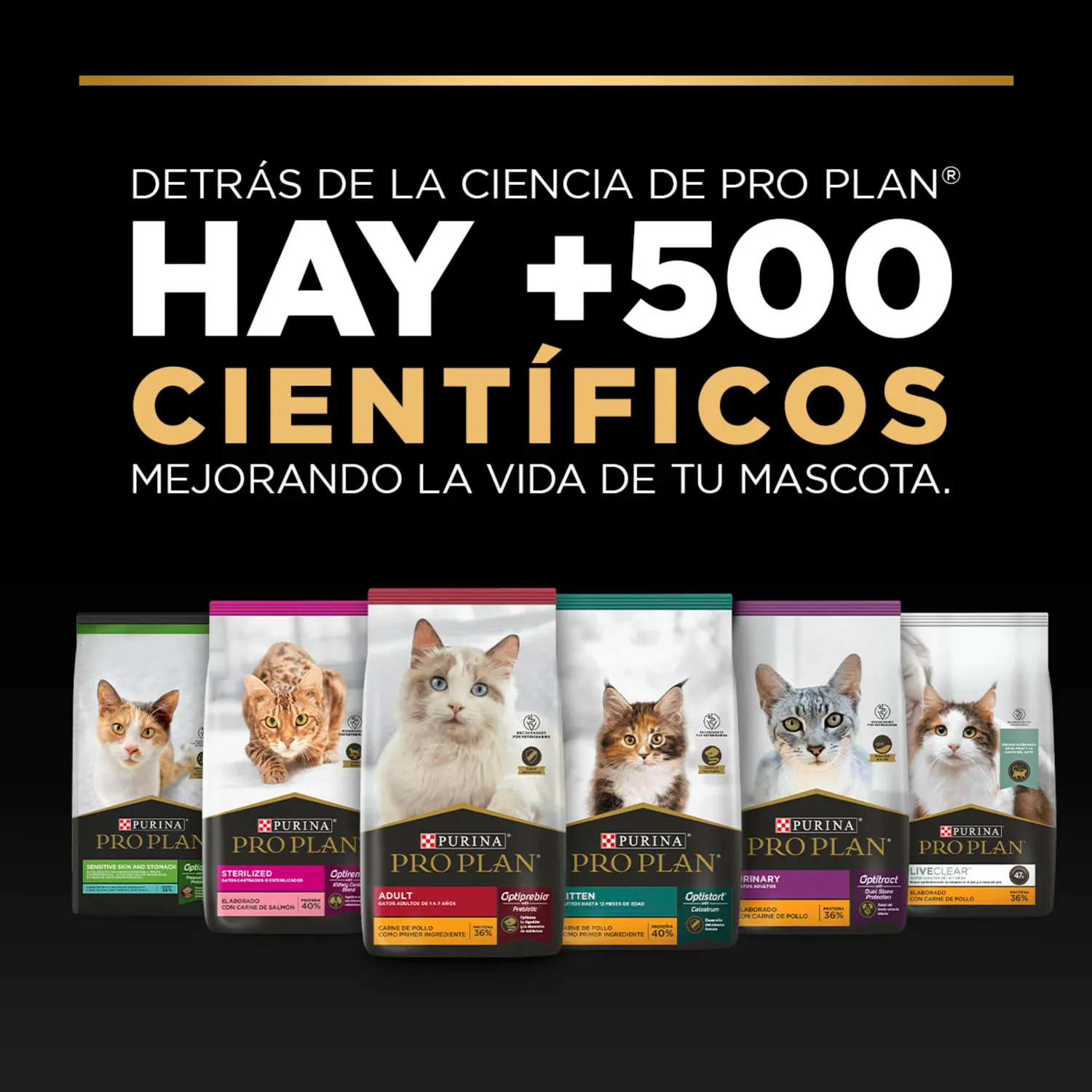 Comida Seca Para Perro Adulto +7 Años Pro Plan Raza Pequeña Sabor A Pollo 1kg 7