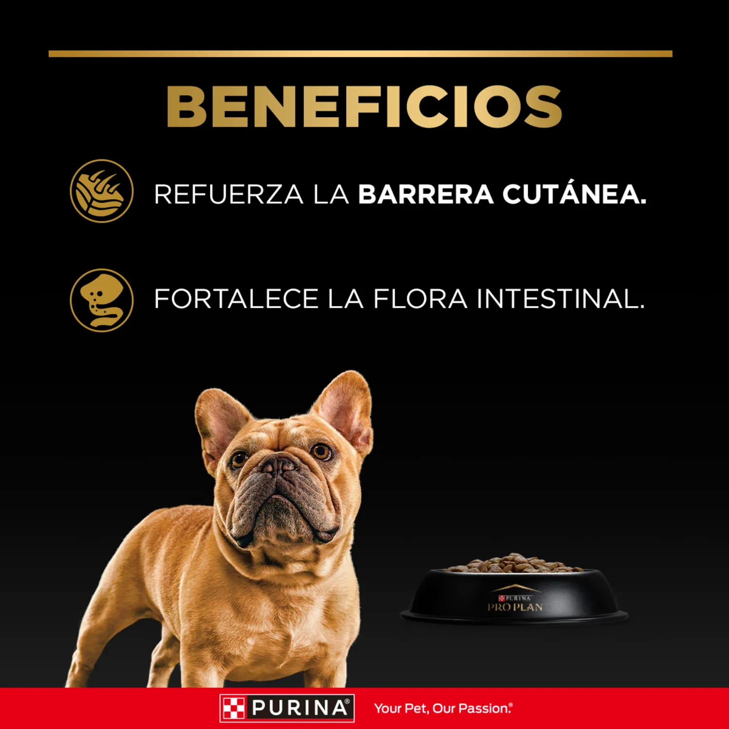 Comida Seca Para Perro Adulto Pro Plan Raza Mediana Sabor A Pollo 1kg 4