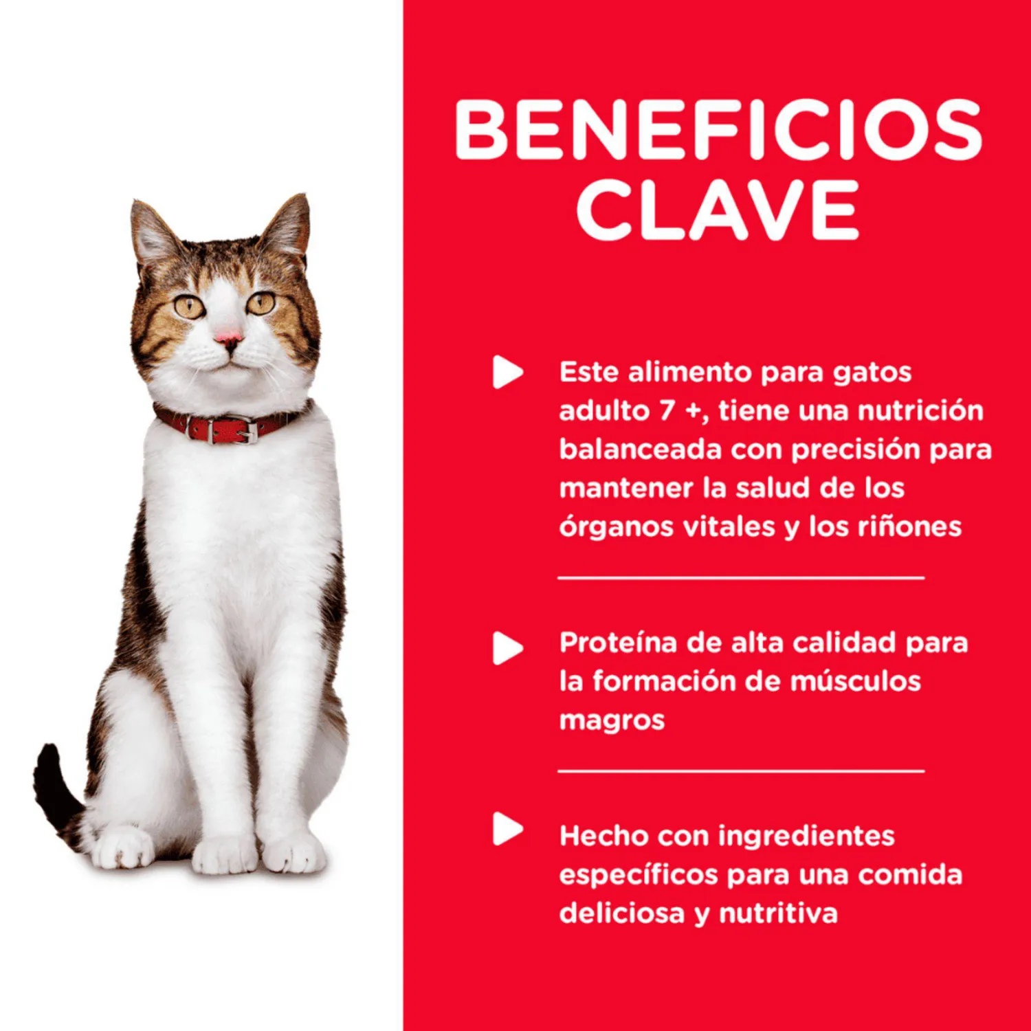 Comida Húmeda Para Gato Adulto +7 Hills Turkey 5.5oz 3
