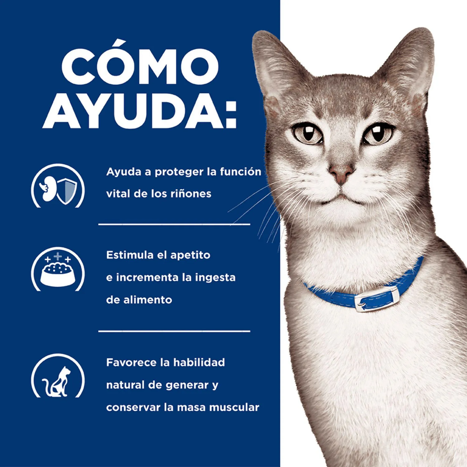 Comida Húmeda Para Gato Hills Prescription Diet Kidney Care Sabor A Pollo 5.5oz 4