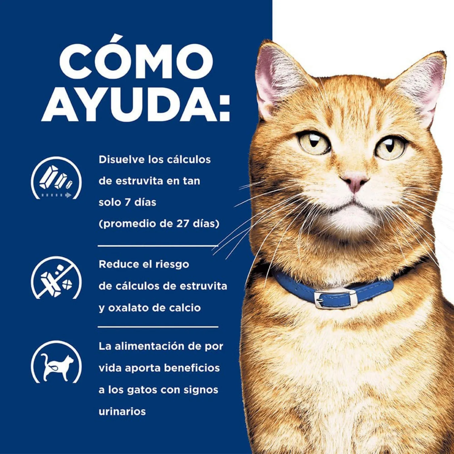 Comida Húmeda Para Gato Hills Prescription Diet Urinary Care Sabor A Pollo 5.5oz 4