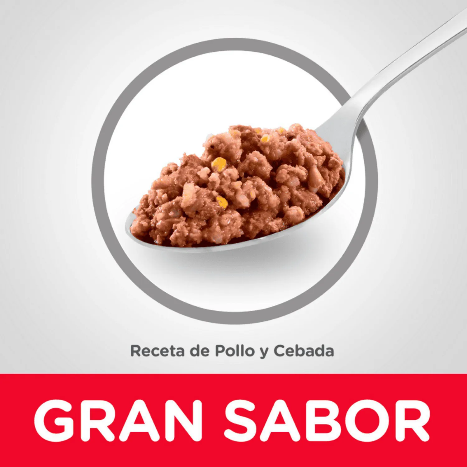 Comida Húmeda Para Perro Adulto Sabor A Pollo 13oz 5