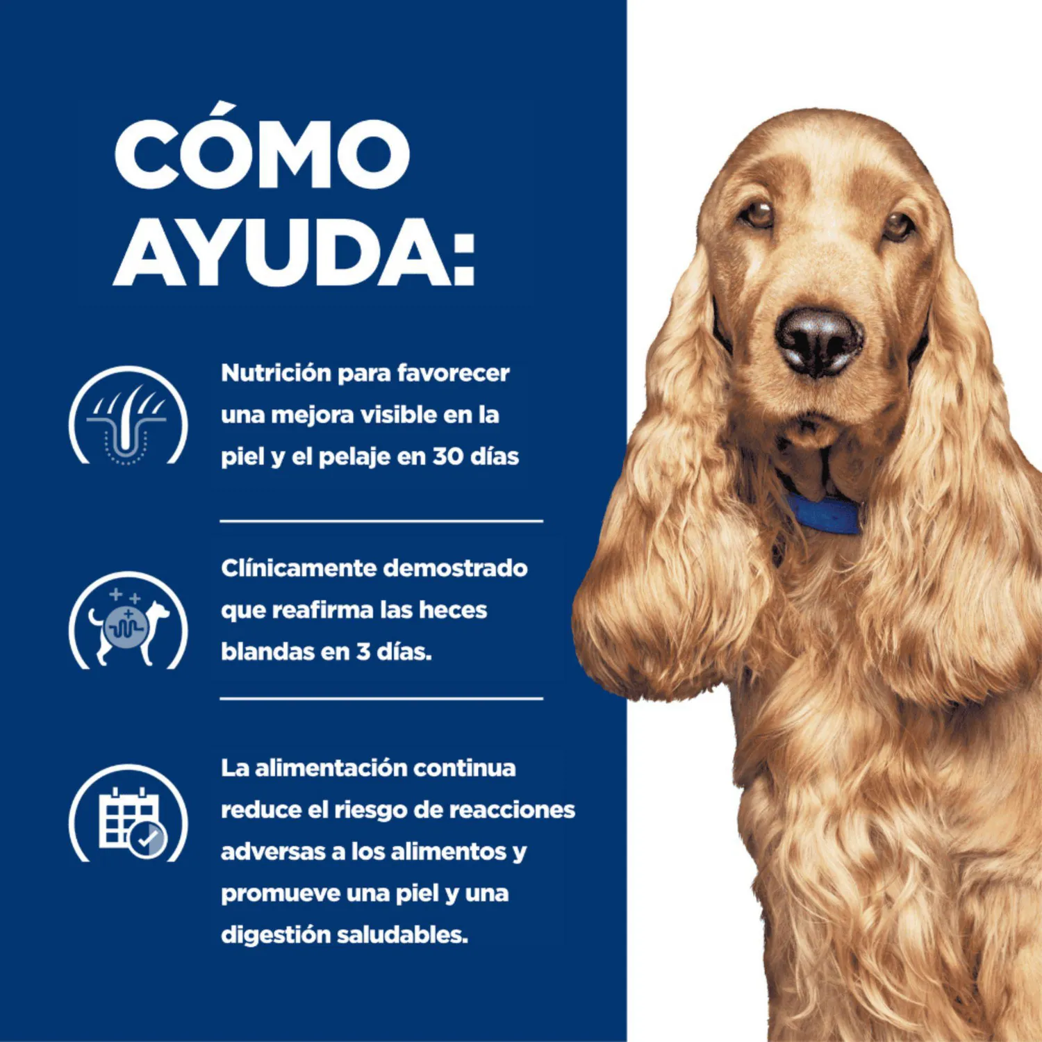 Comida Húmeda Para Perro Prescription Diet Food Sensitivies 13oz 4