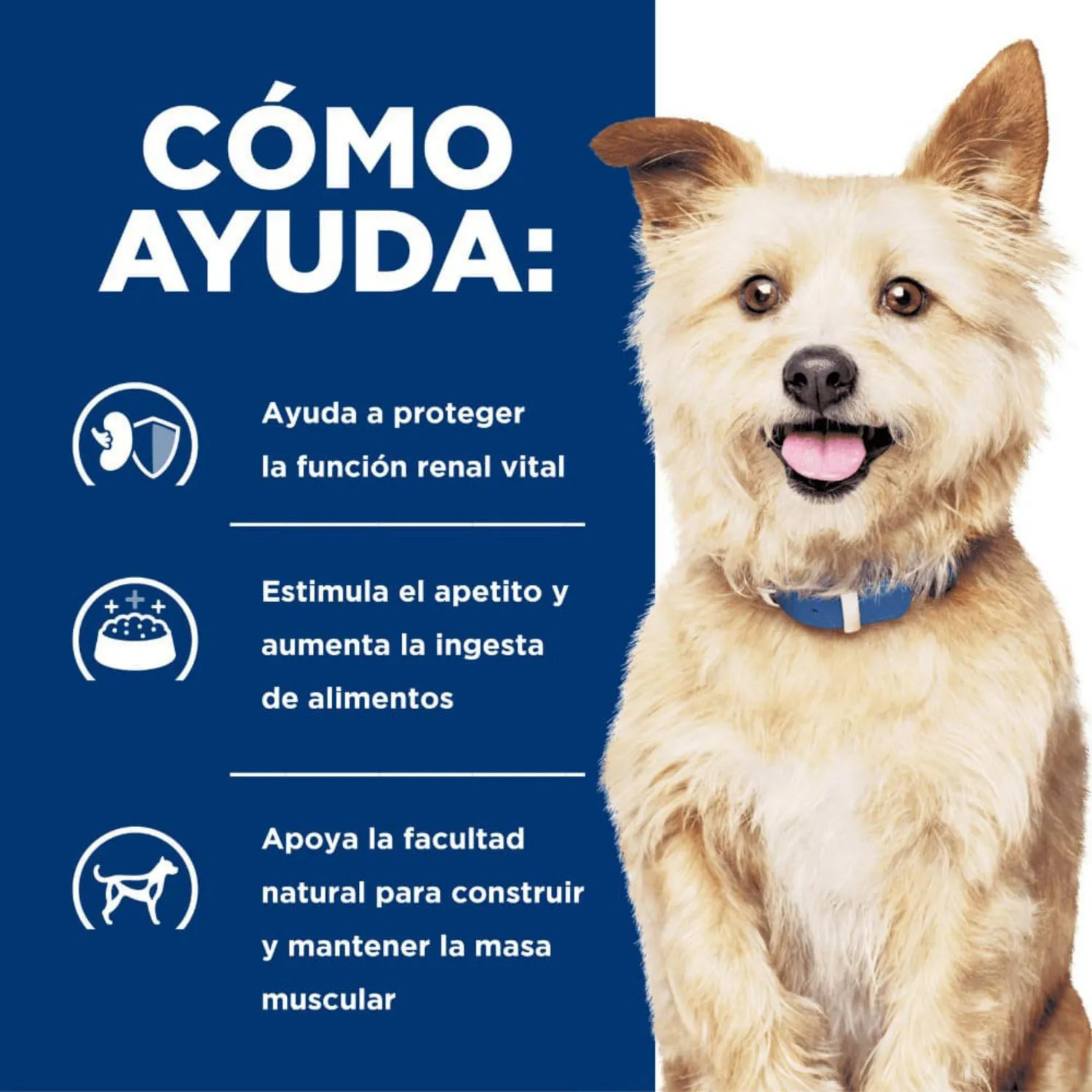 Comida Húmeda Para Perrohills Prescription Diet Kidney Care 13oz 3