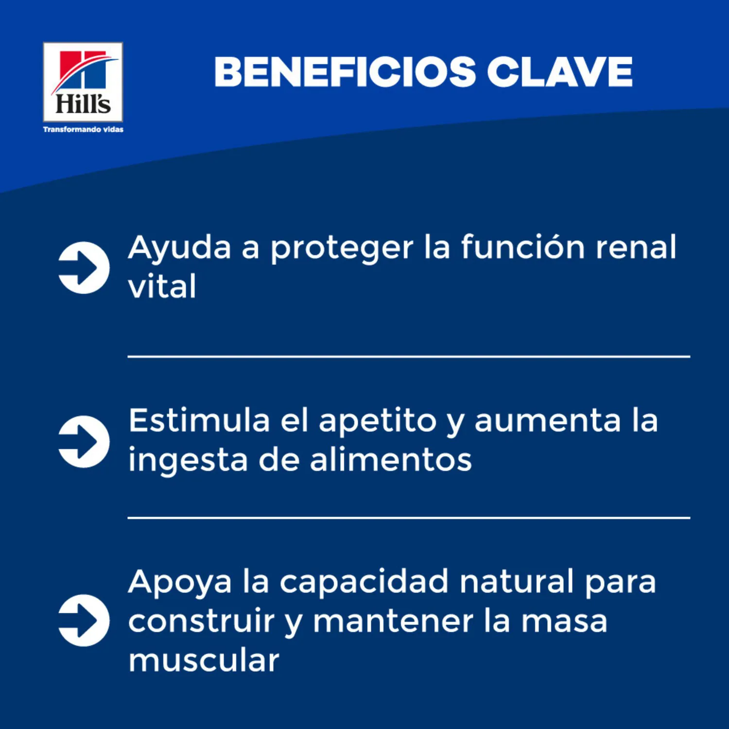 Comida Húmeda Para Perrohills Prescription Diet Kidney Care 13oz 5