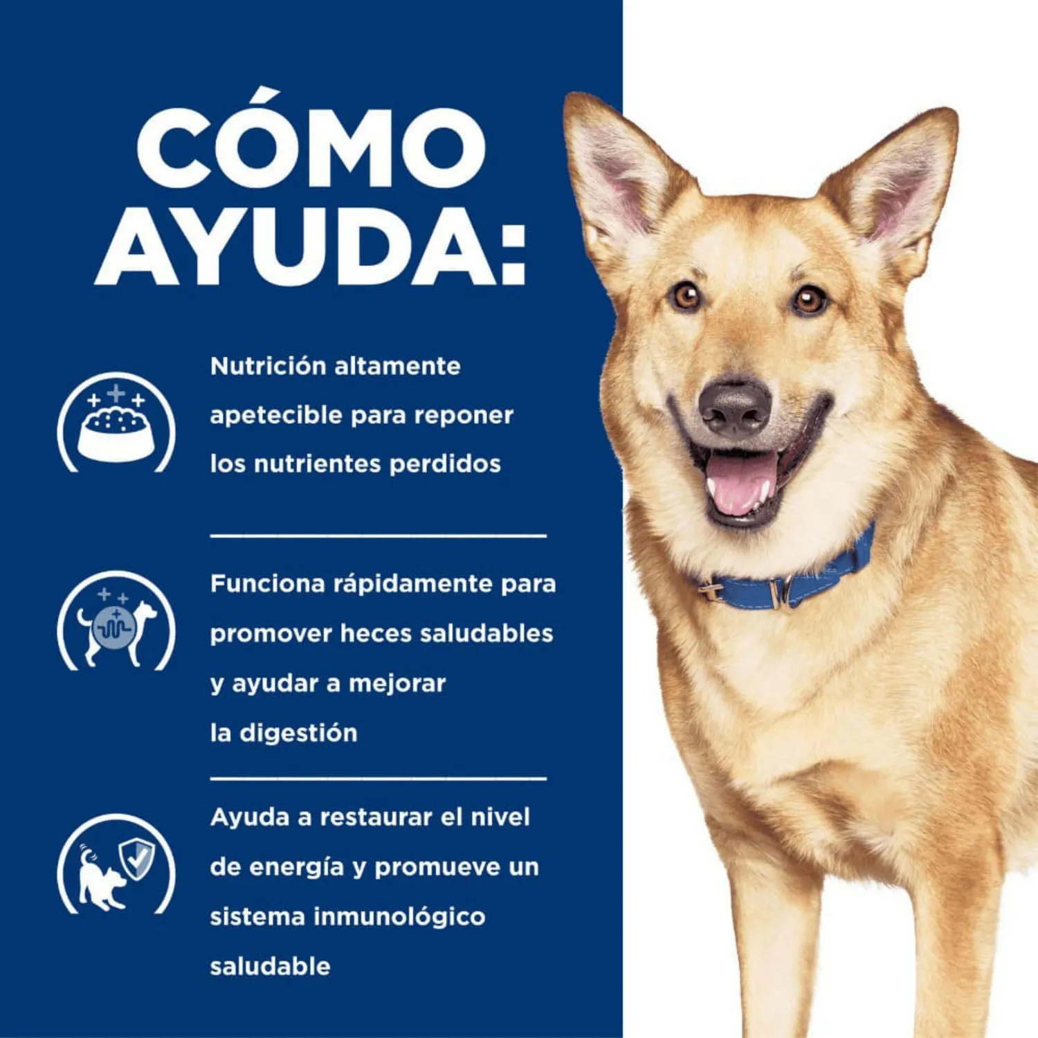 Comida Húmeda Para Perro Hills Prescription Diet Digestive Care 13oz 3