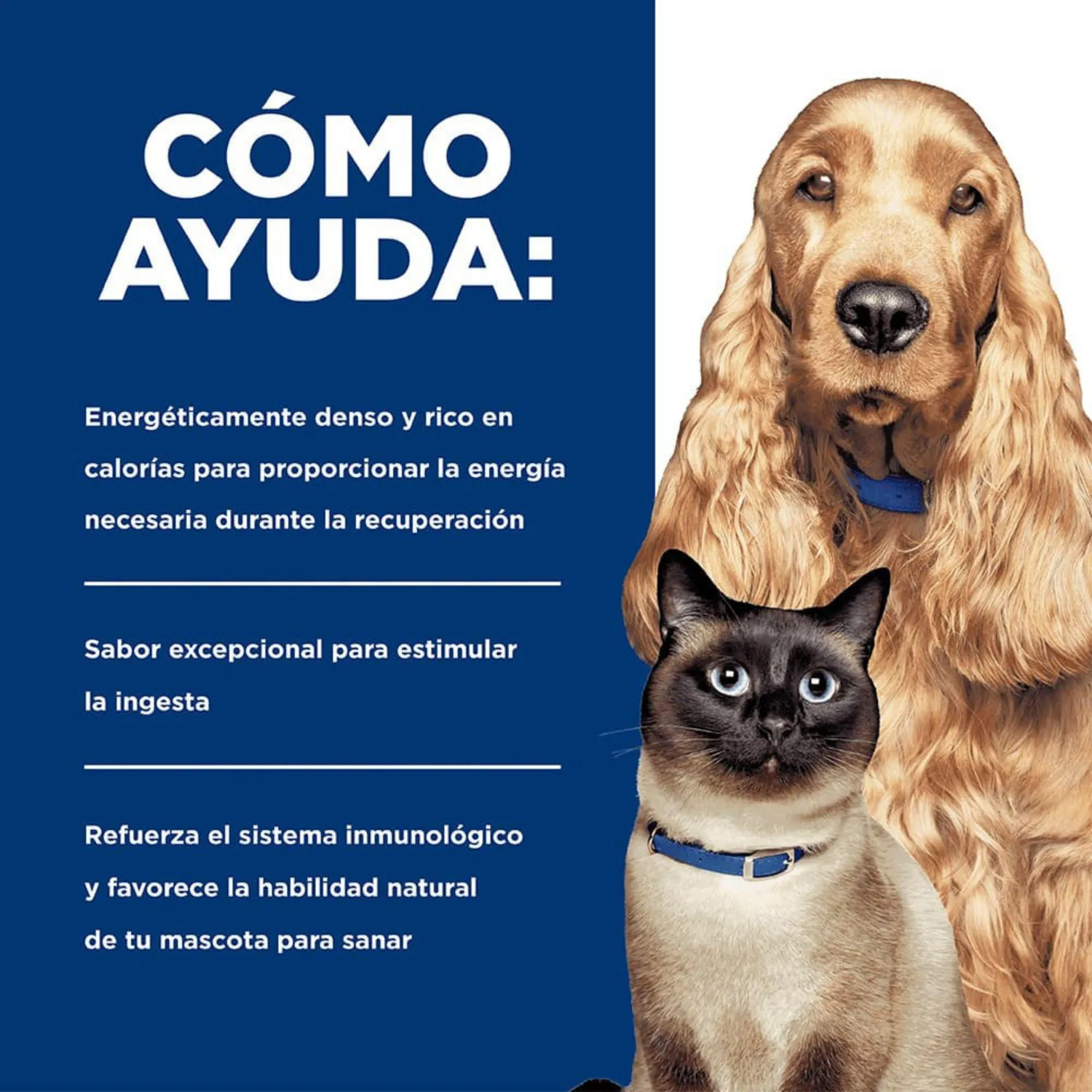 Comida Húmeda Para Mascotas Hills Prescription Diet Urgent Care 5.5oz 4