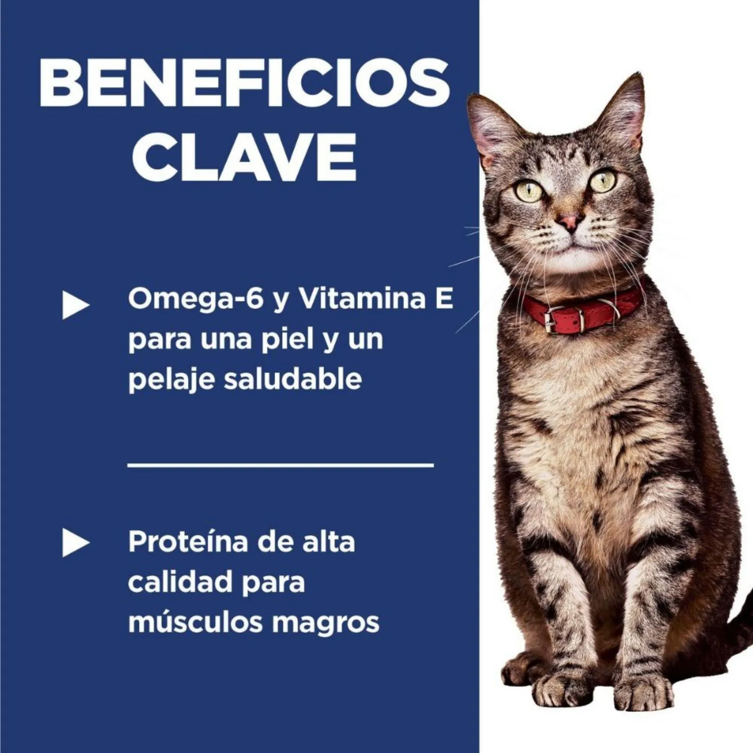 Comida Seca Para Gato Adulto Hills Optimal Care 7 Libras 3