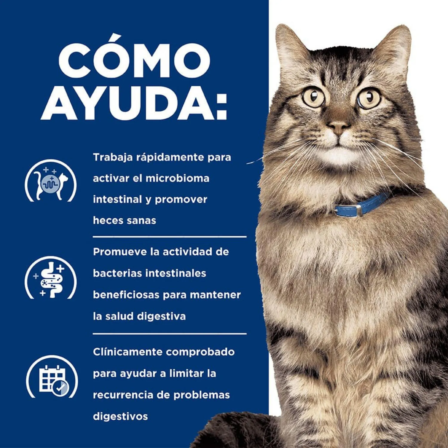 Comida Seca Para Gato Hills Gastro Biome 4 Libras 5
