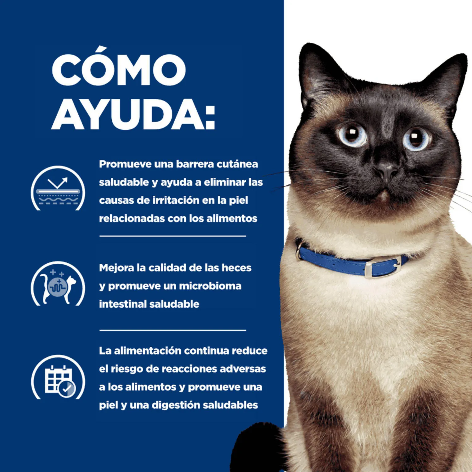 Comida Seca Para Gato Hills Prescription Diet Food Sensitivities 4 Libras 4