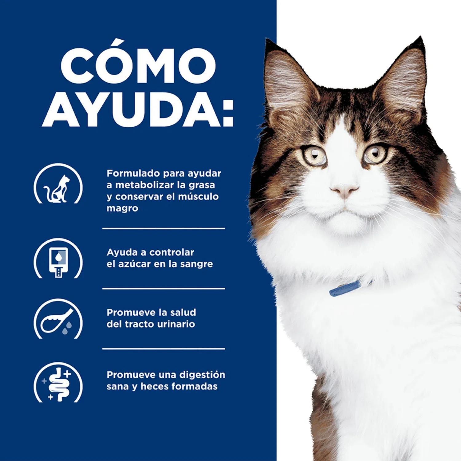 Comida Seca Para Gato Hills Prescription Diet Multi-Benefit 4 Libras 4