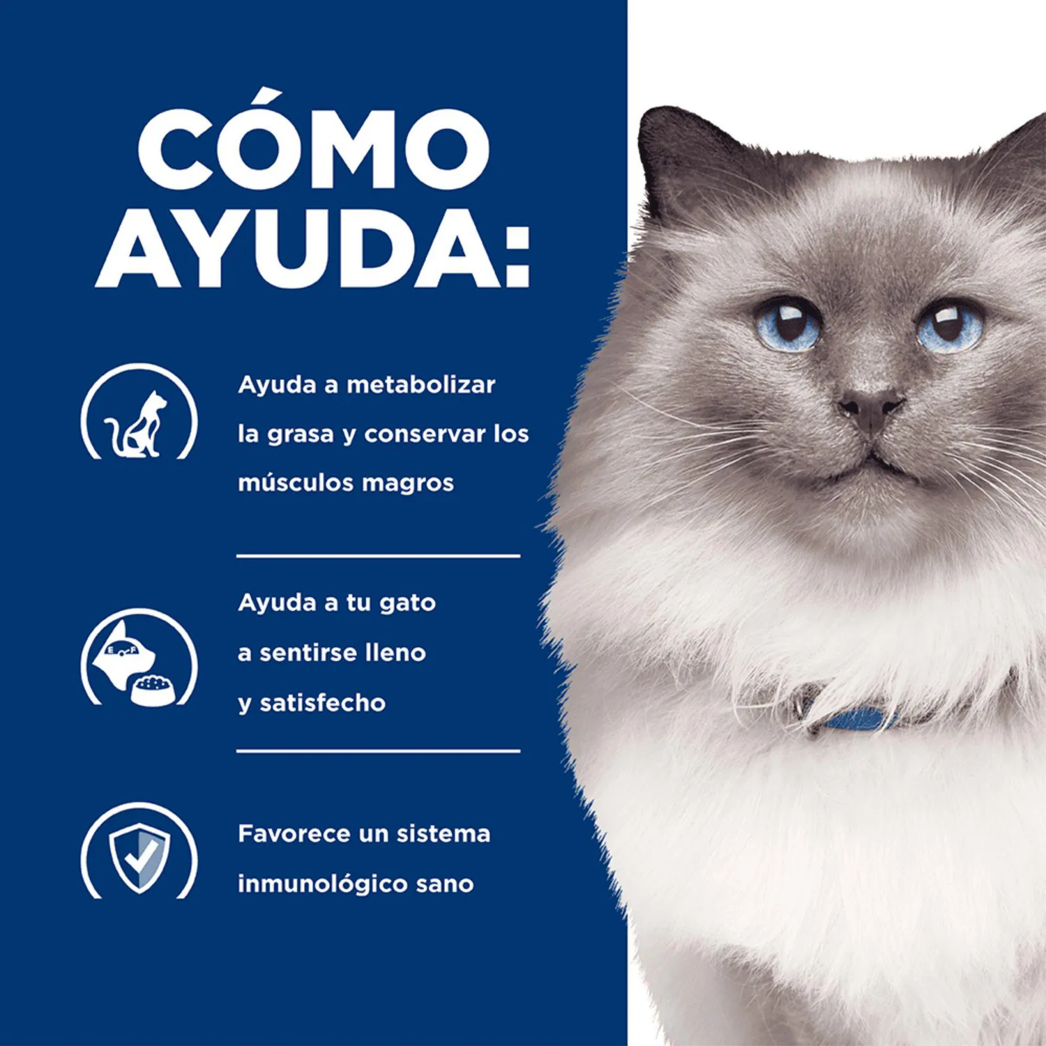 Comida Seca Para Gato Hills Prescription Diet Weight Loss 4 Libras 4
