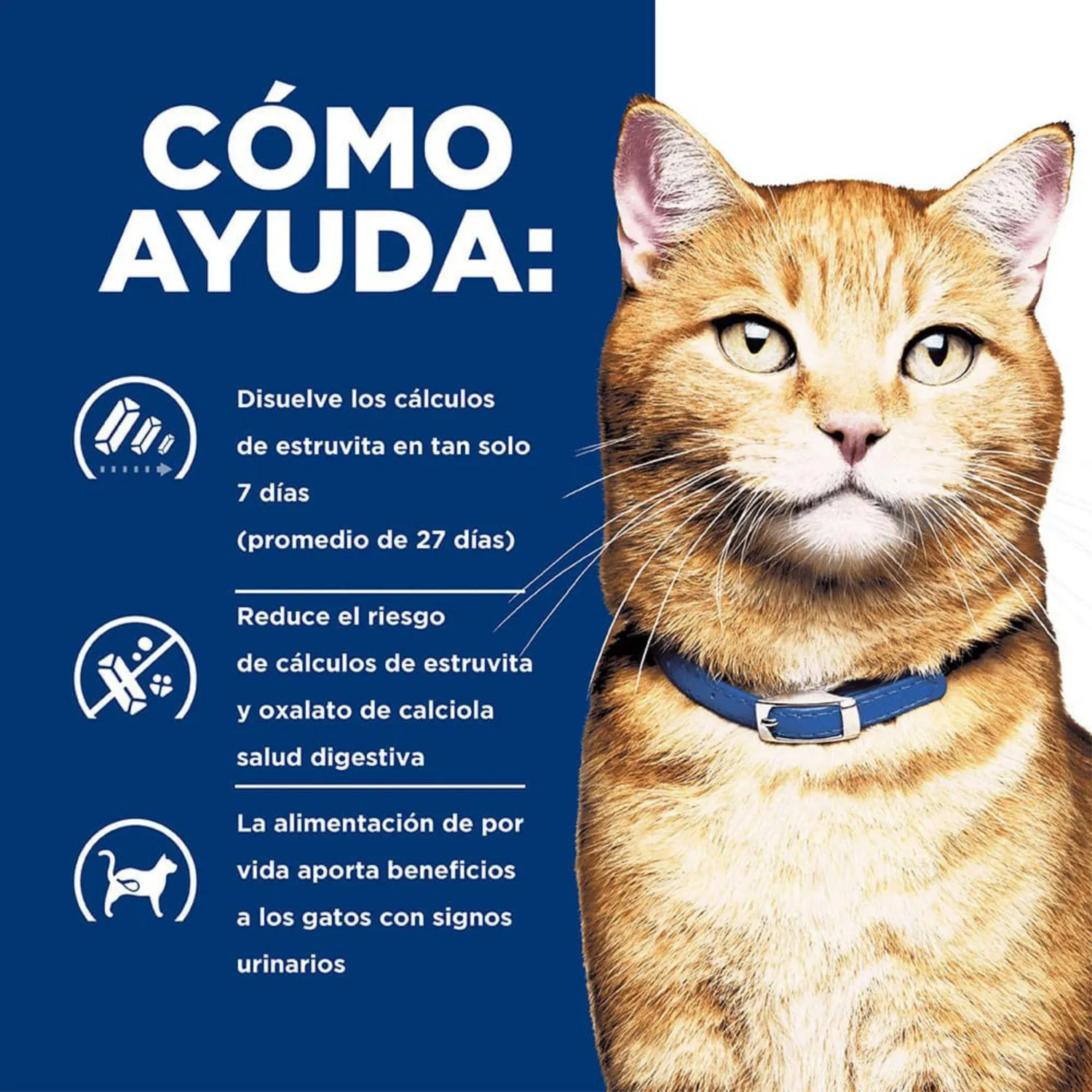 Comida Seca Para Gato Hills Prescription Diet Urinary Care Sabor A Pollo 4 Libras 3