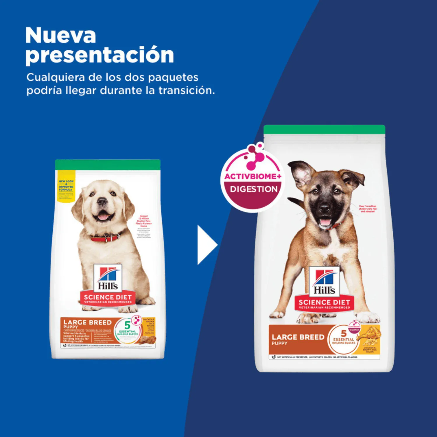 Comida Seca Para Perro Cachorro Large Breed 15.5 Libras 3