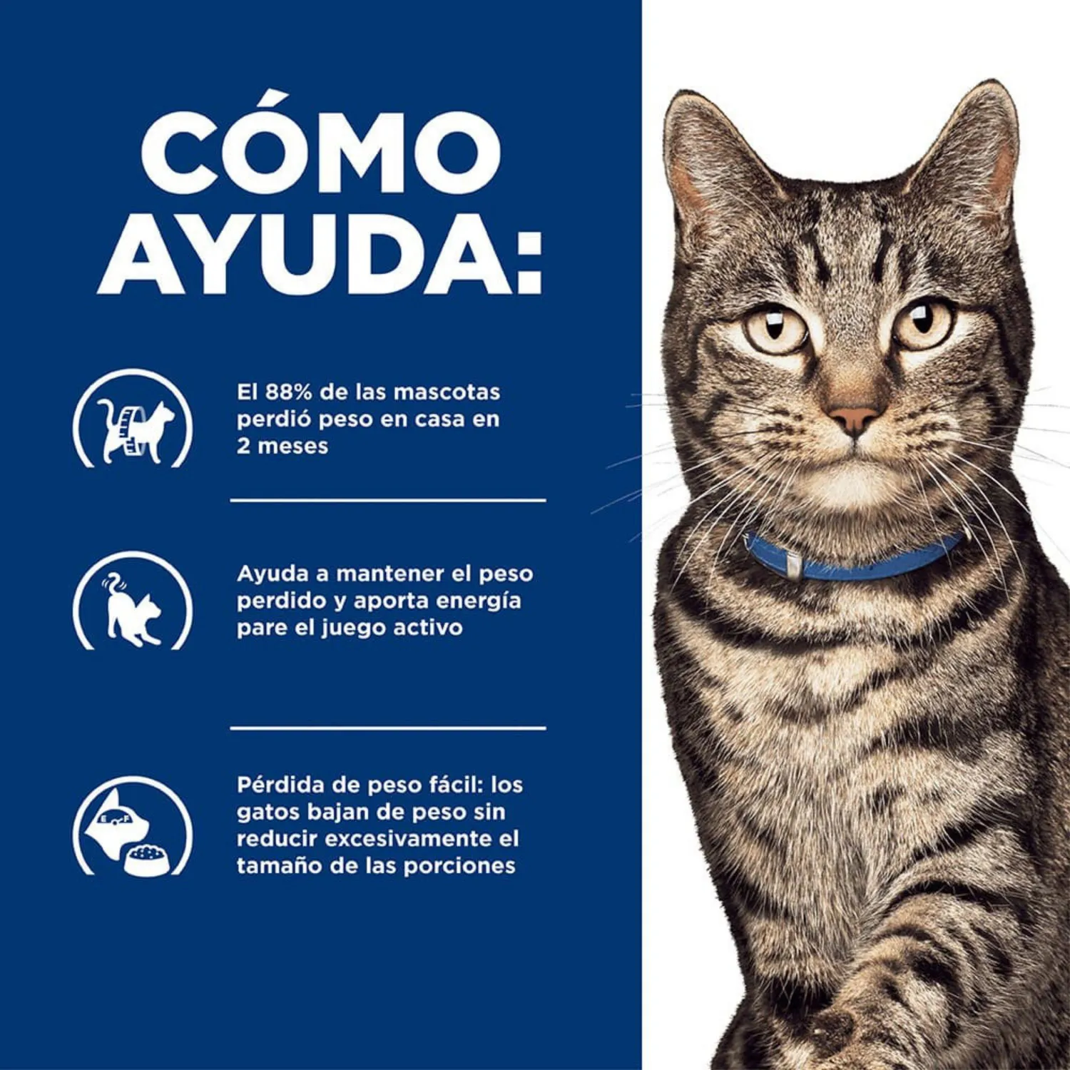 Comida Seca Para Gato Adulto Hills Prenscription Diet Metabolic Care 4 Libras 4