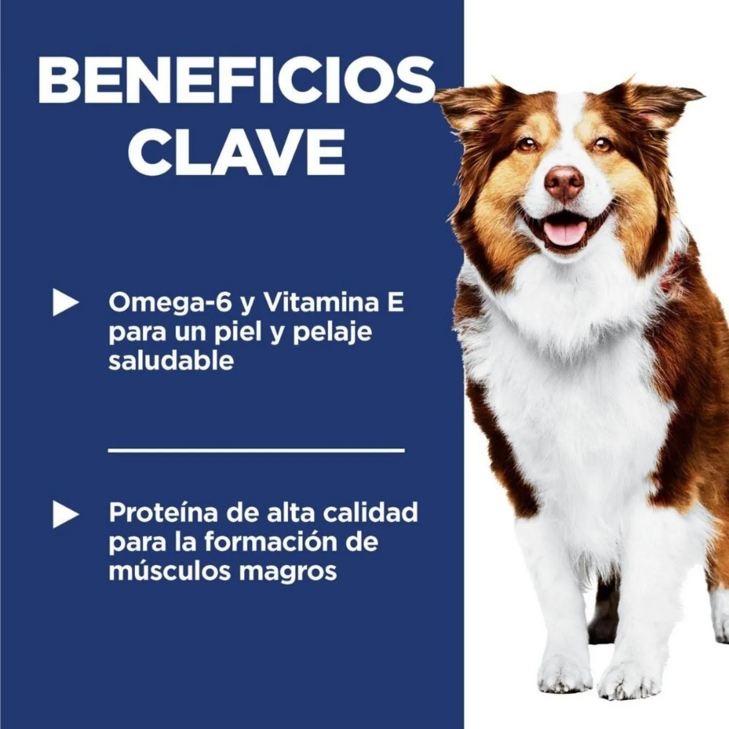 Comida Seca Para Perro Adulto Hills Ob Raza Mediana 6.6 Libras 3