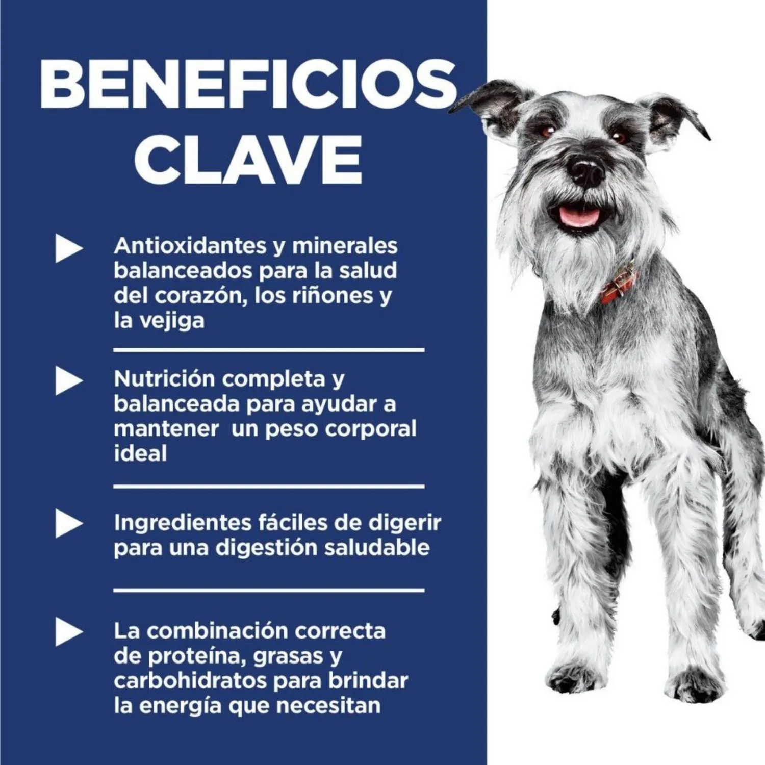 Comida Seca Para Perro Adulto+7 Hills S/M 2kg 3