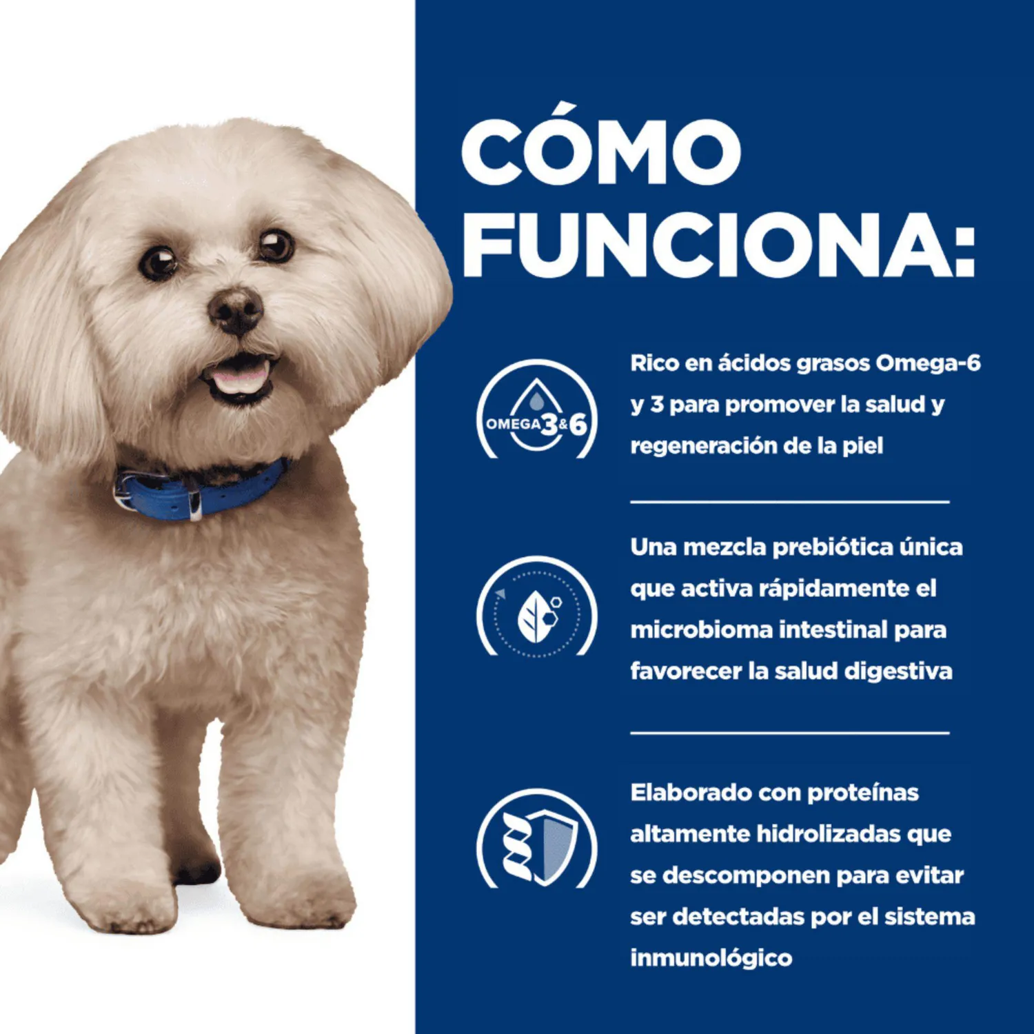 Comida Seca Para Perro Hills Prescription Diet Food Sensitivities 1.5kg 4