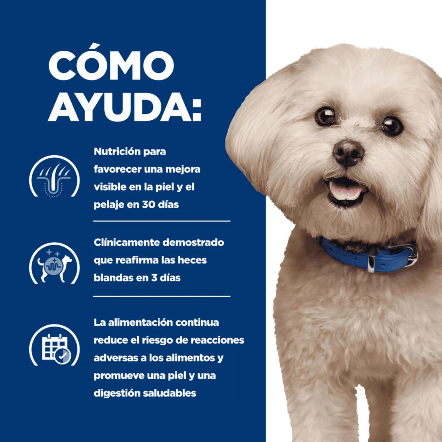 Comida Seca Para Perro Hills Prescription Diet Food Sensitivities 1.5kg 6