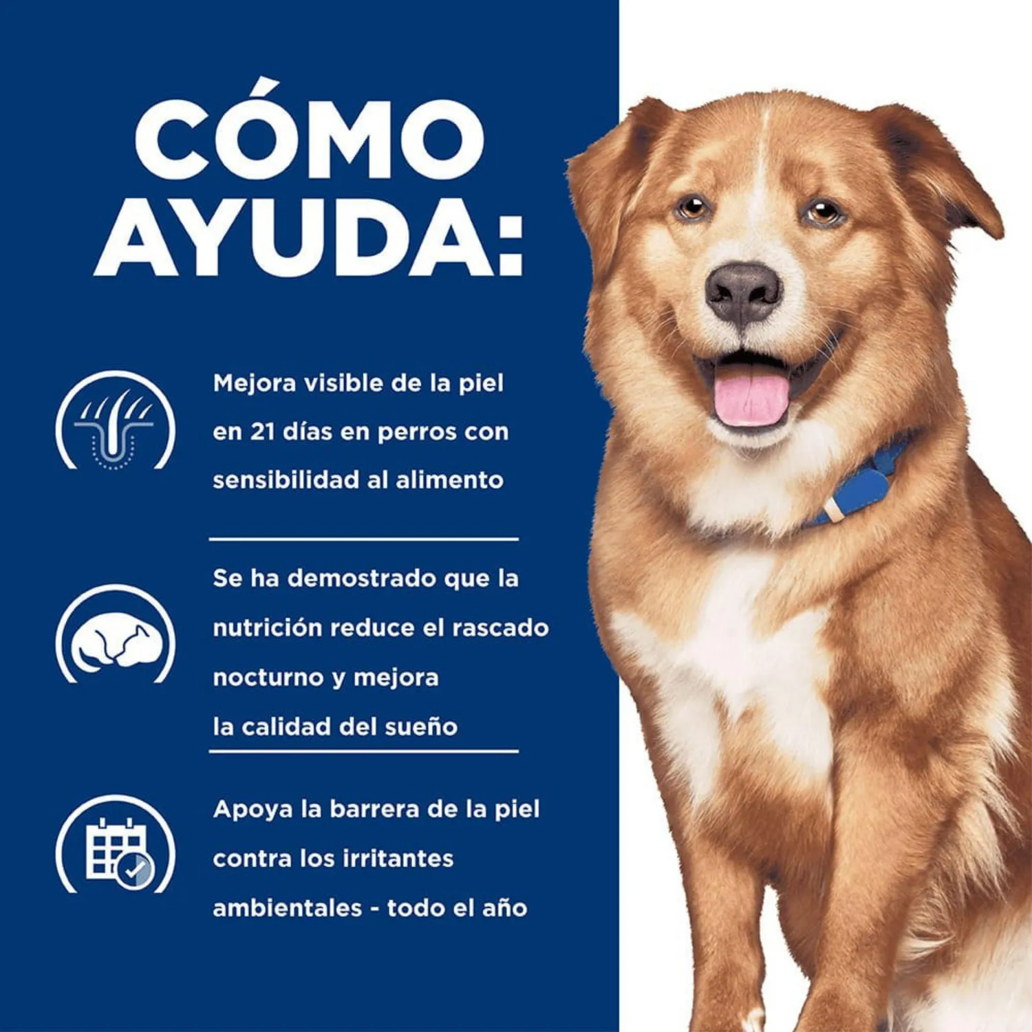 Comida Seca Para Perro Adulto Hills Derm Complete 2.9kg 4